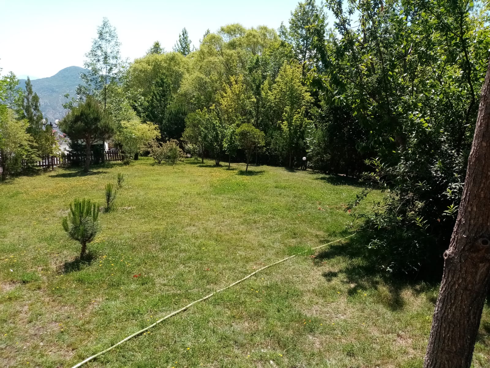 125. Yıl Atatürk Çeşmesi Orman Parkı