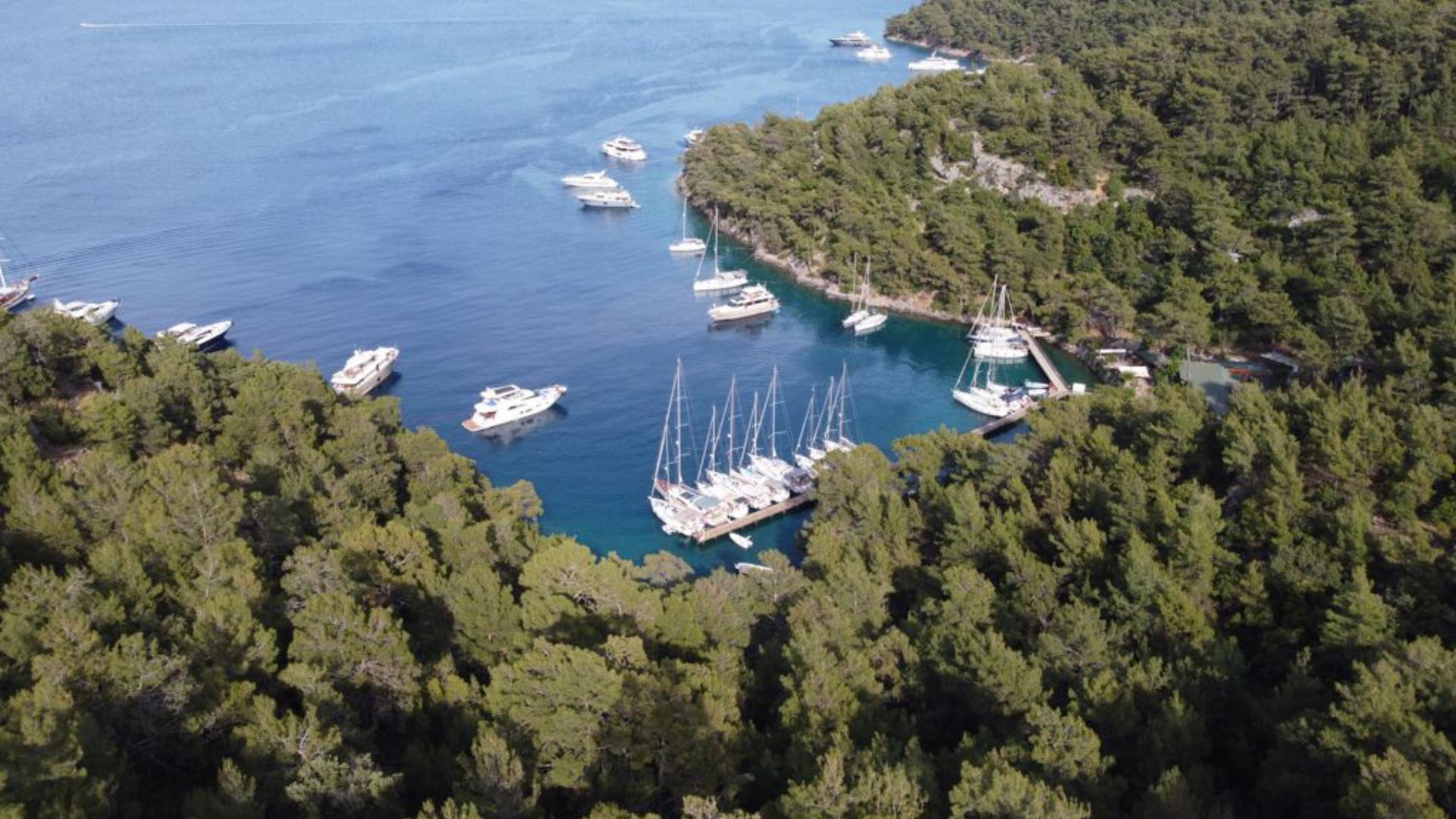 Küçük Sarsala Orman Parkı