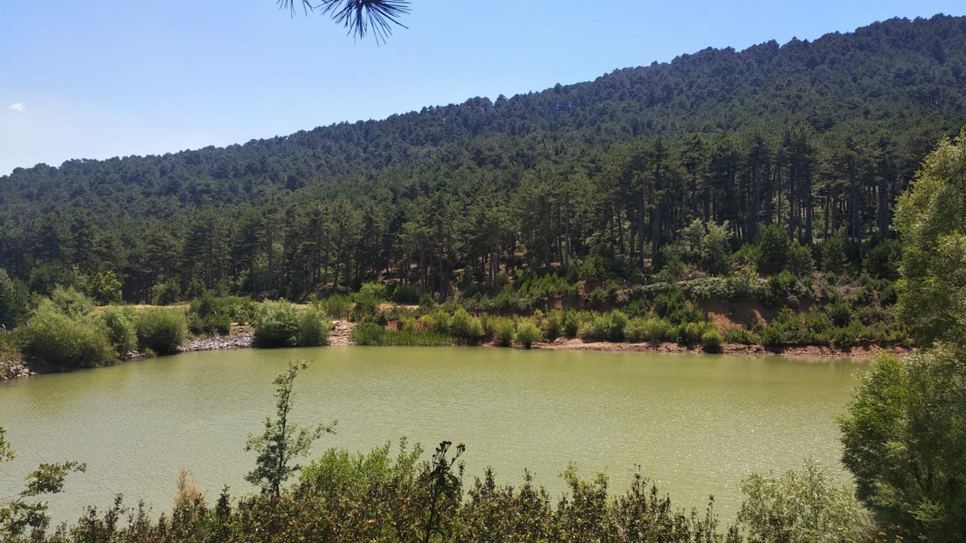 Belenova Orman Parkı