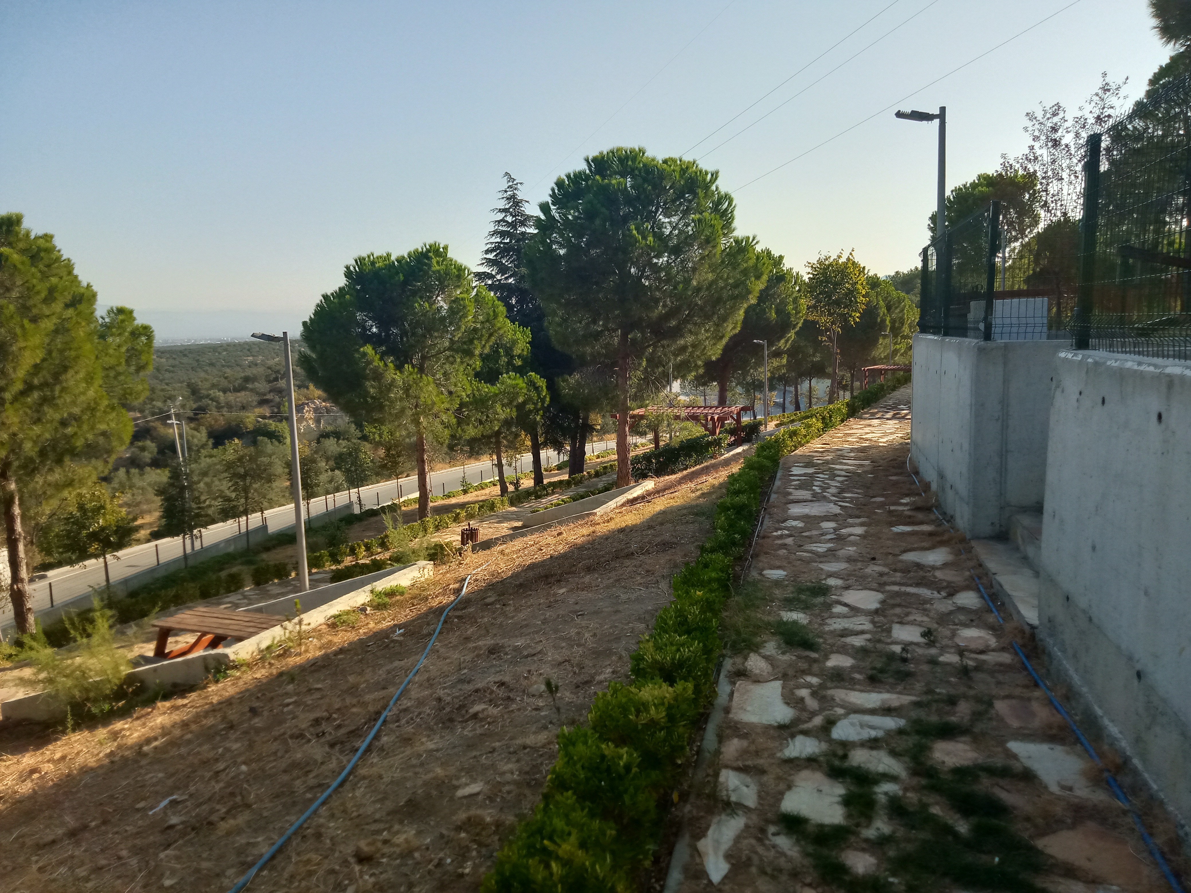 Taylıeli Orman Parkı