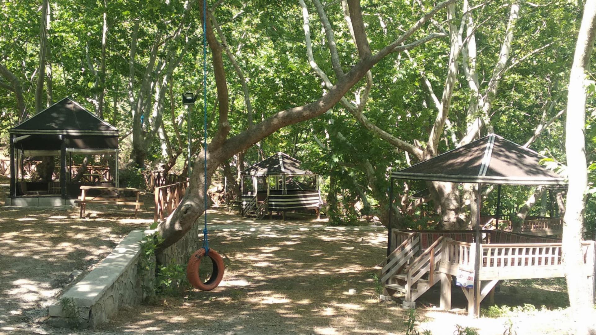 Buharkent Orman Parkı
