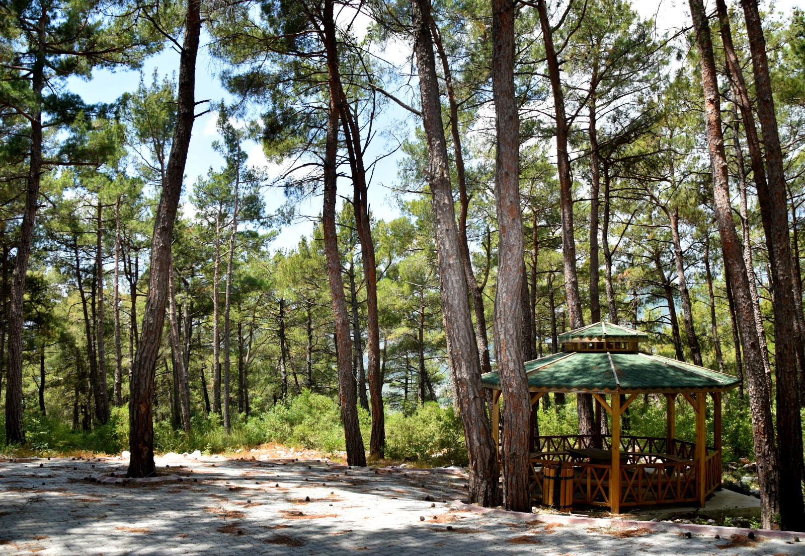 Varda Köprüsü 2 Orman Parkı