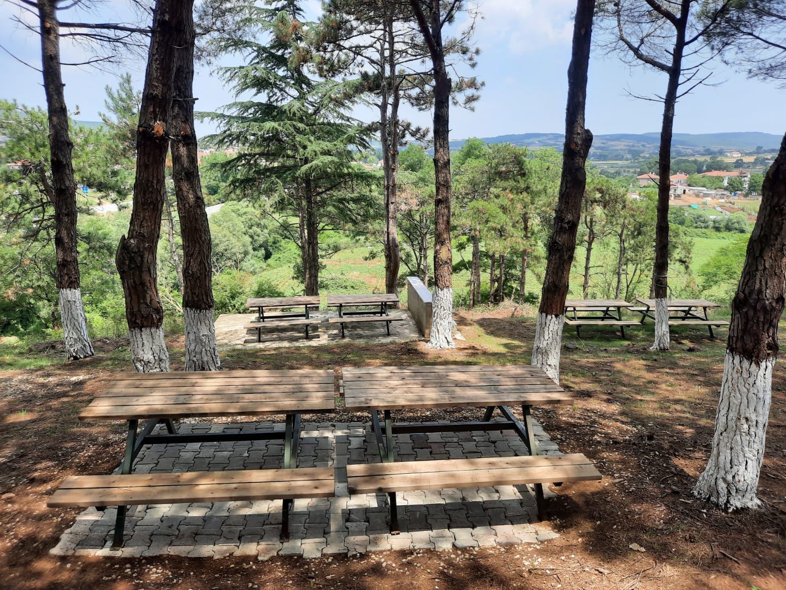 Kestanelik Orman Parkı