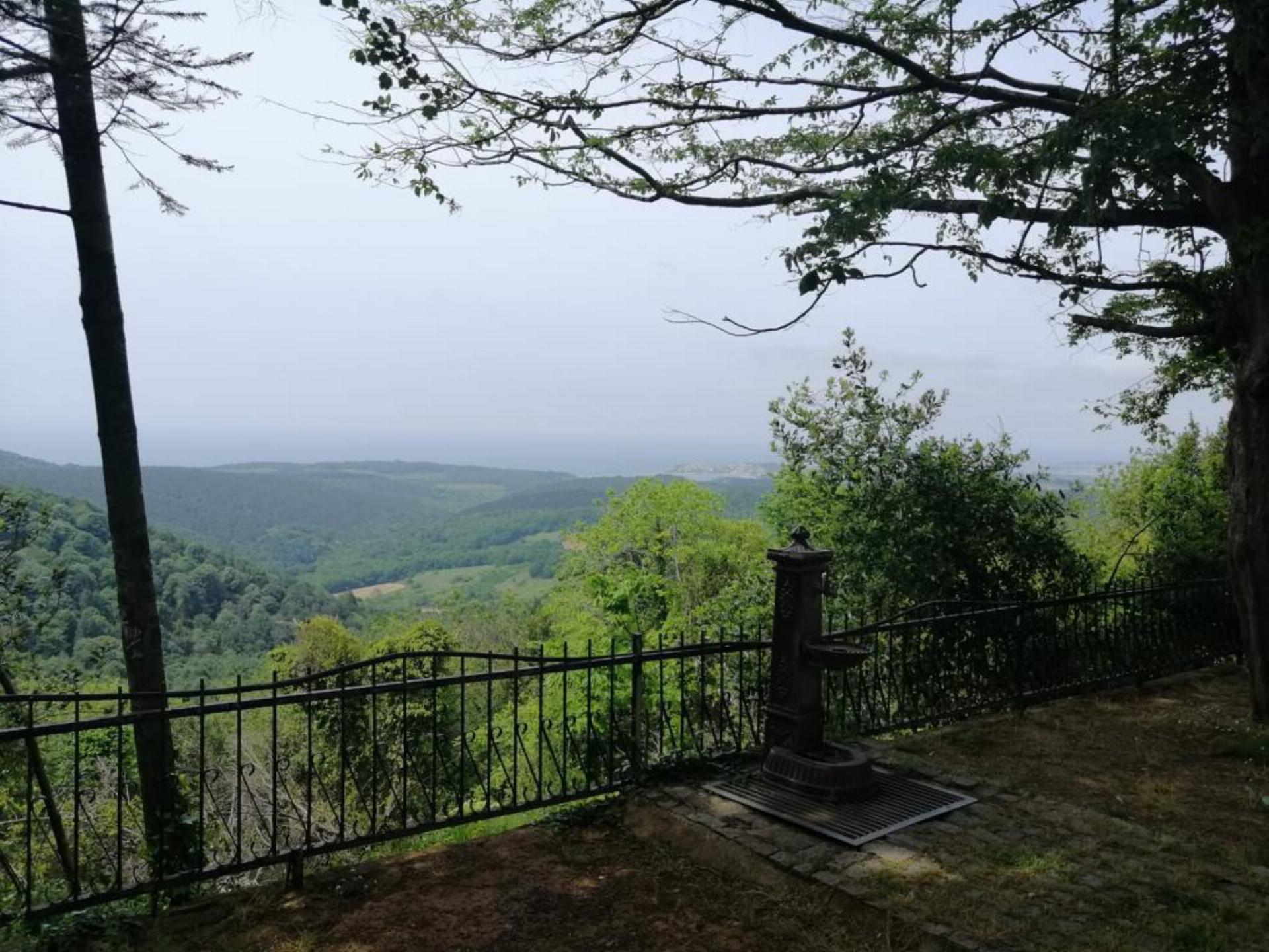 Babatepe Orman Parkı
