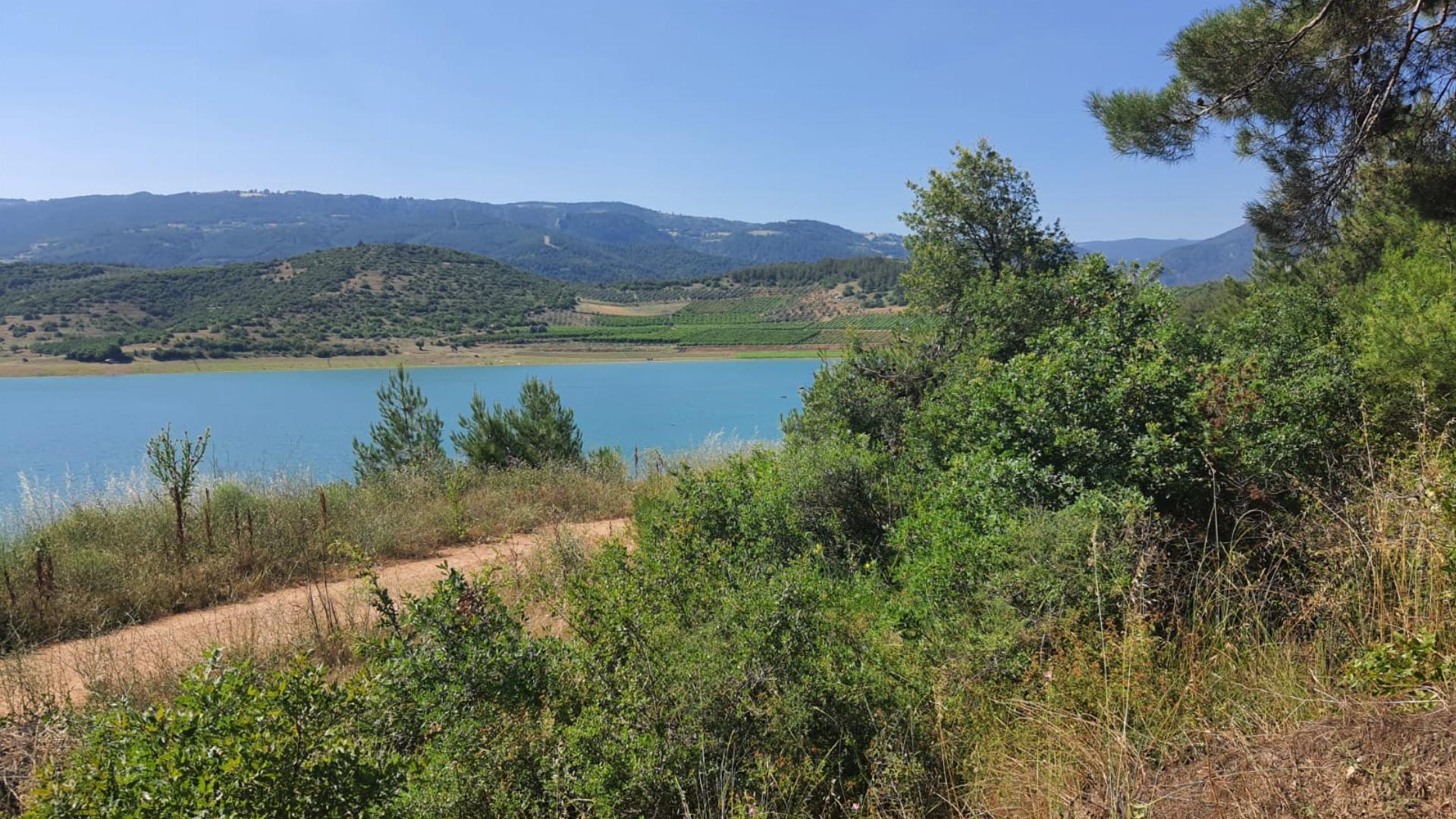 Osmaneli Gölbaşı Orman Parkı
