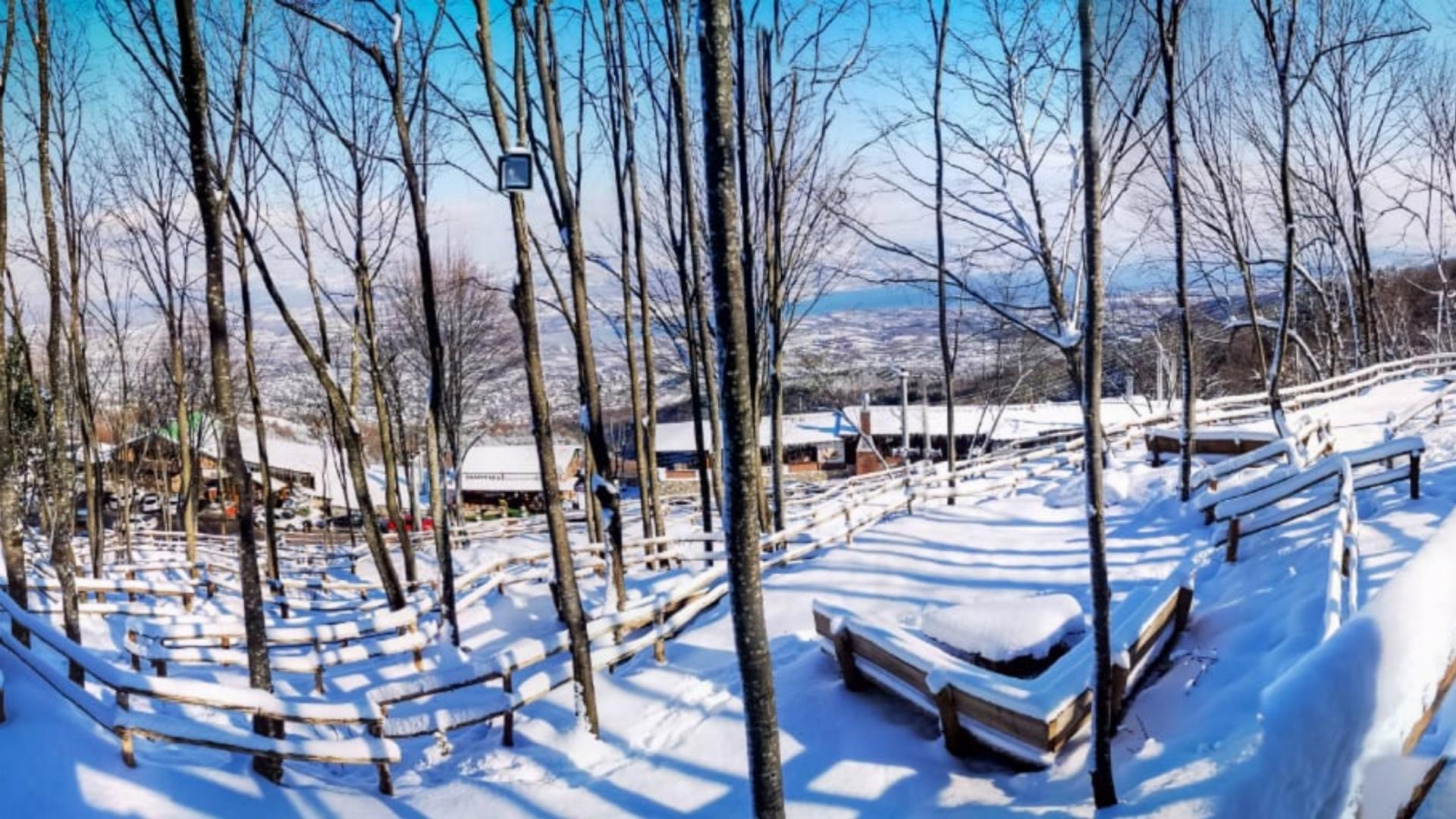 Maşukiye Manzara Orman Parkı 