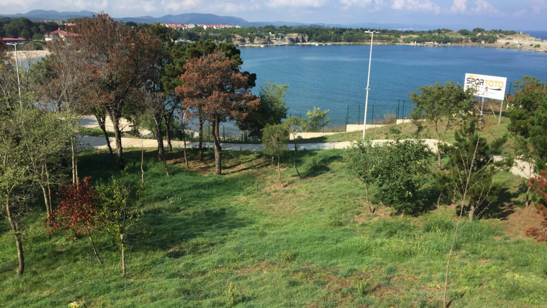 Kovanağzı Orman Parkı