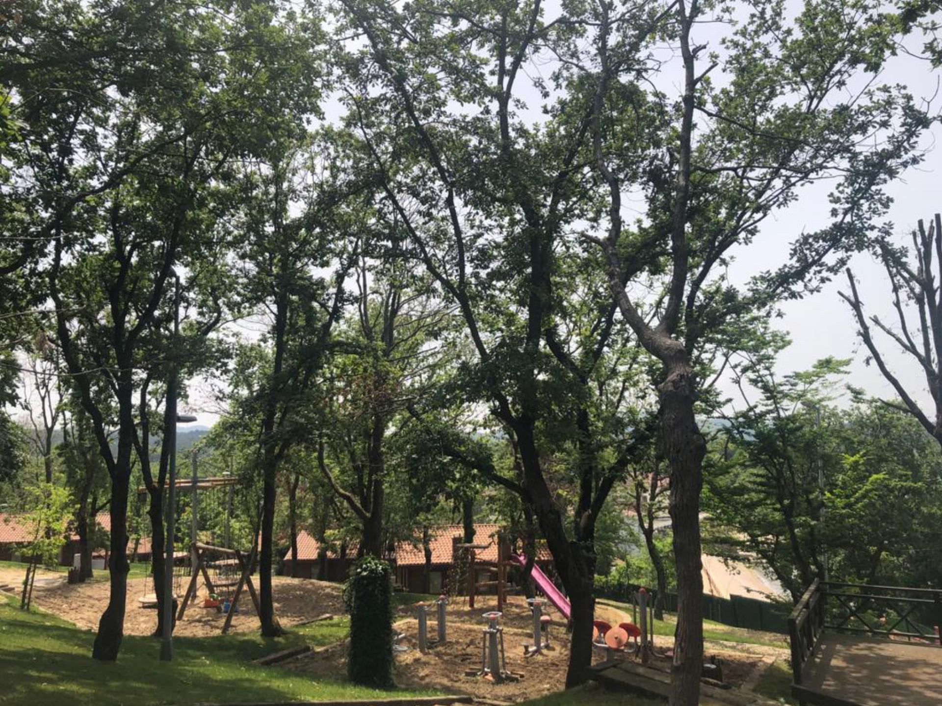 Kerpe Orman Parkı
