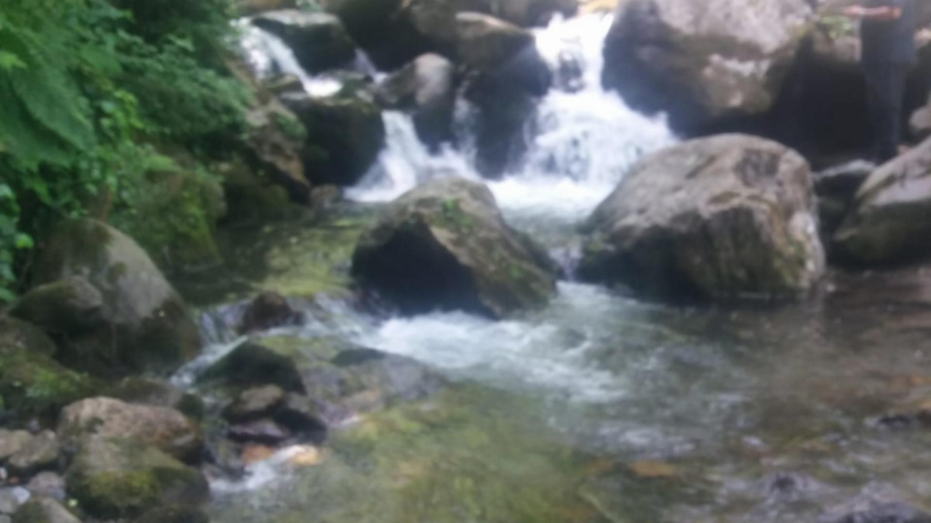 İpekyolu Orman Parkı