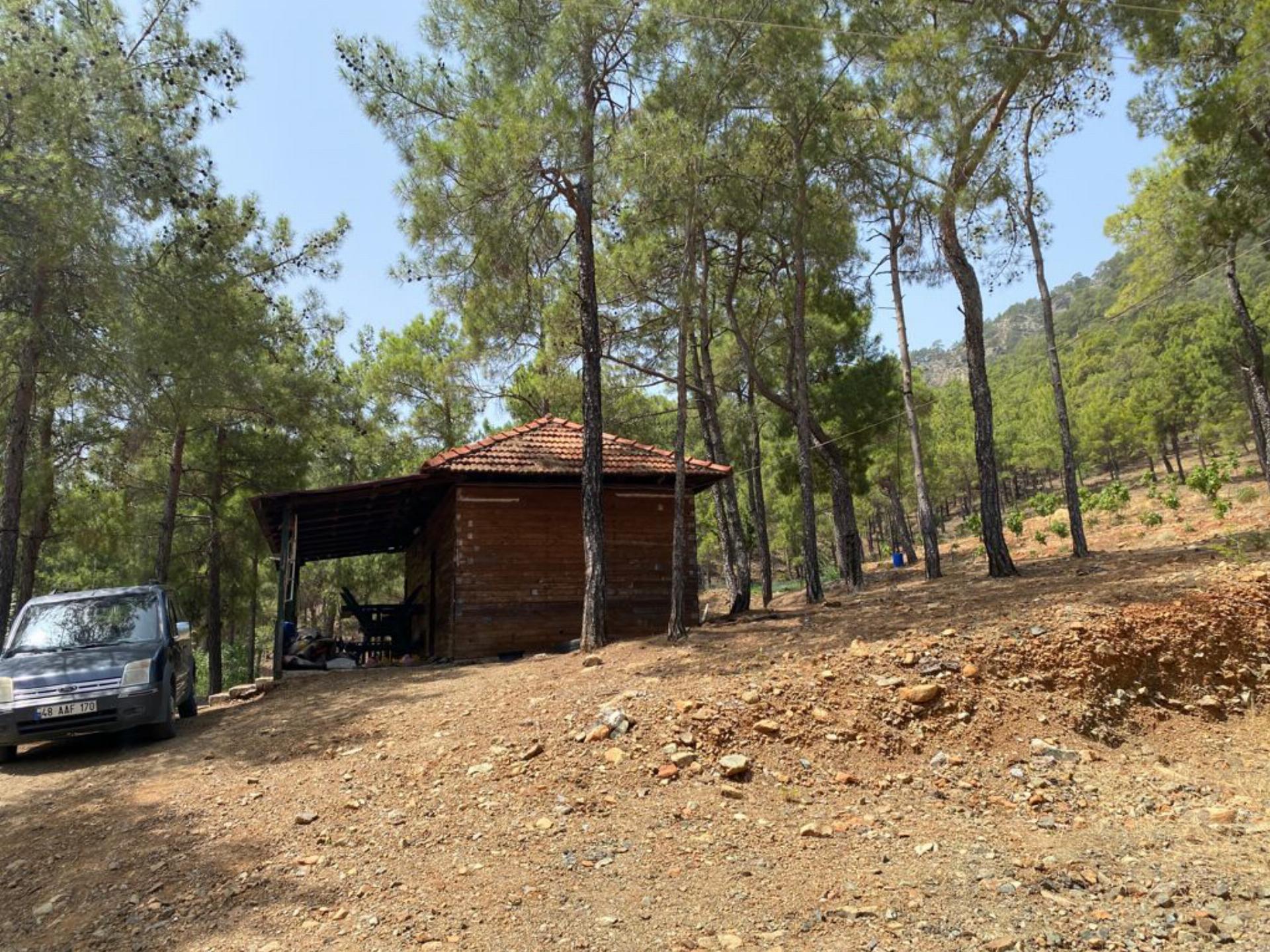 Değirmenbaşı Orman Parkı