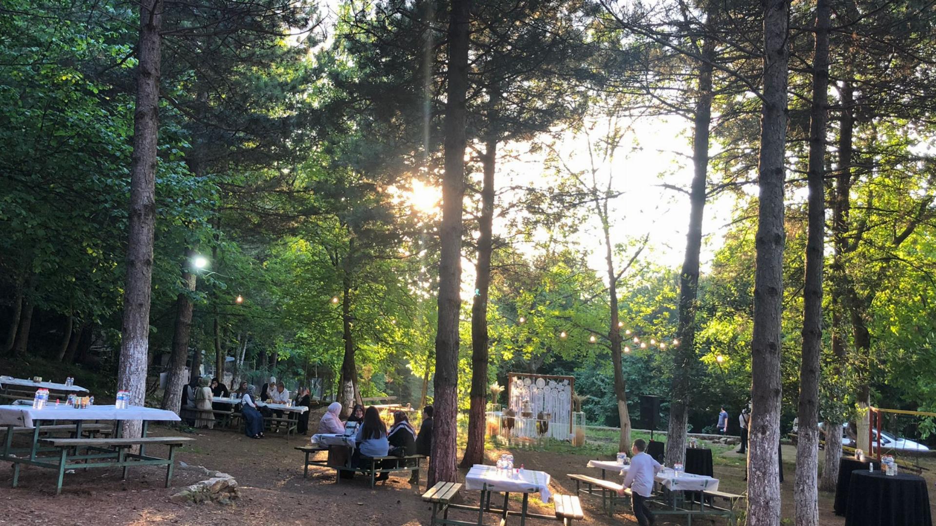 Yeşilçam Orman Parkı