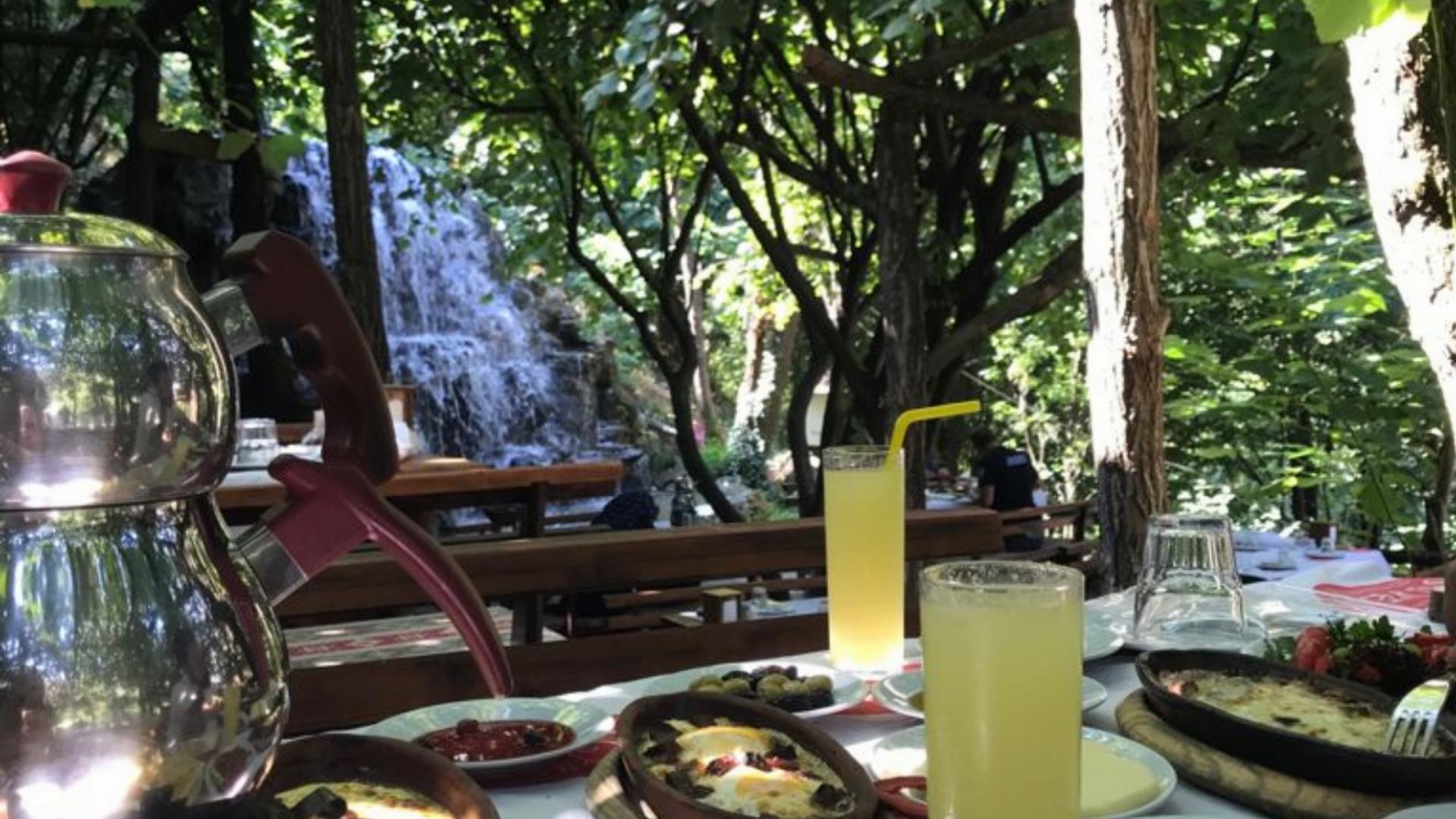 Yazıcı Orman Parkı