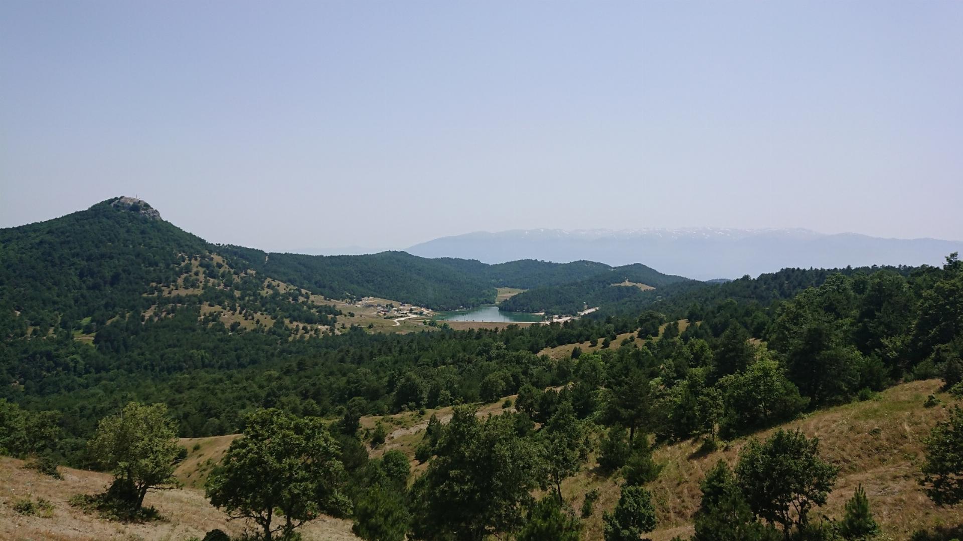 Ericek Göleti Orman Parkı 