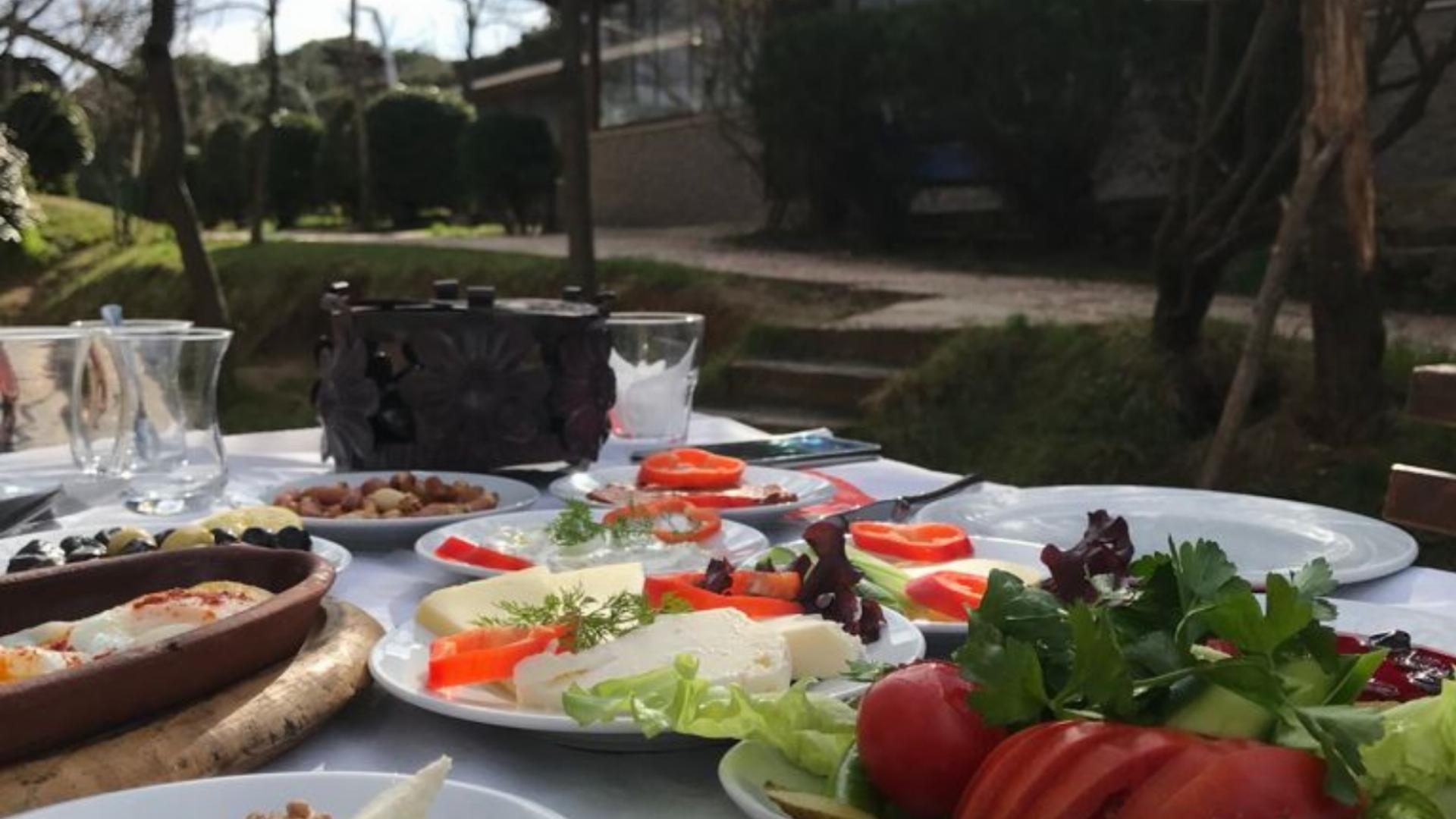 Yazıcı Orman Parkı