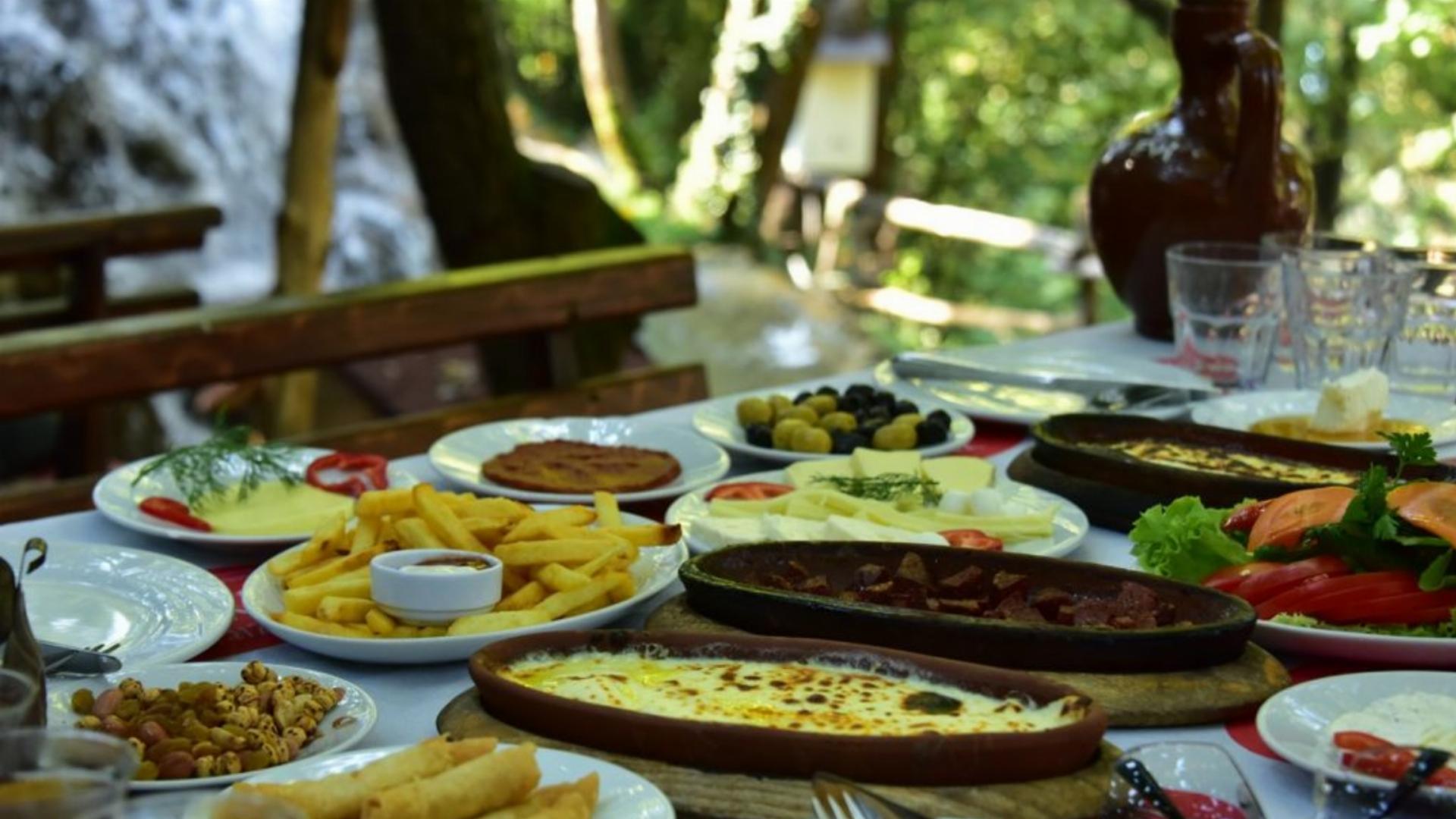 Yazıcı Orman Parkı