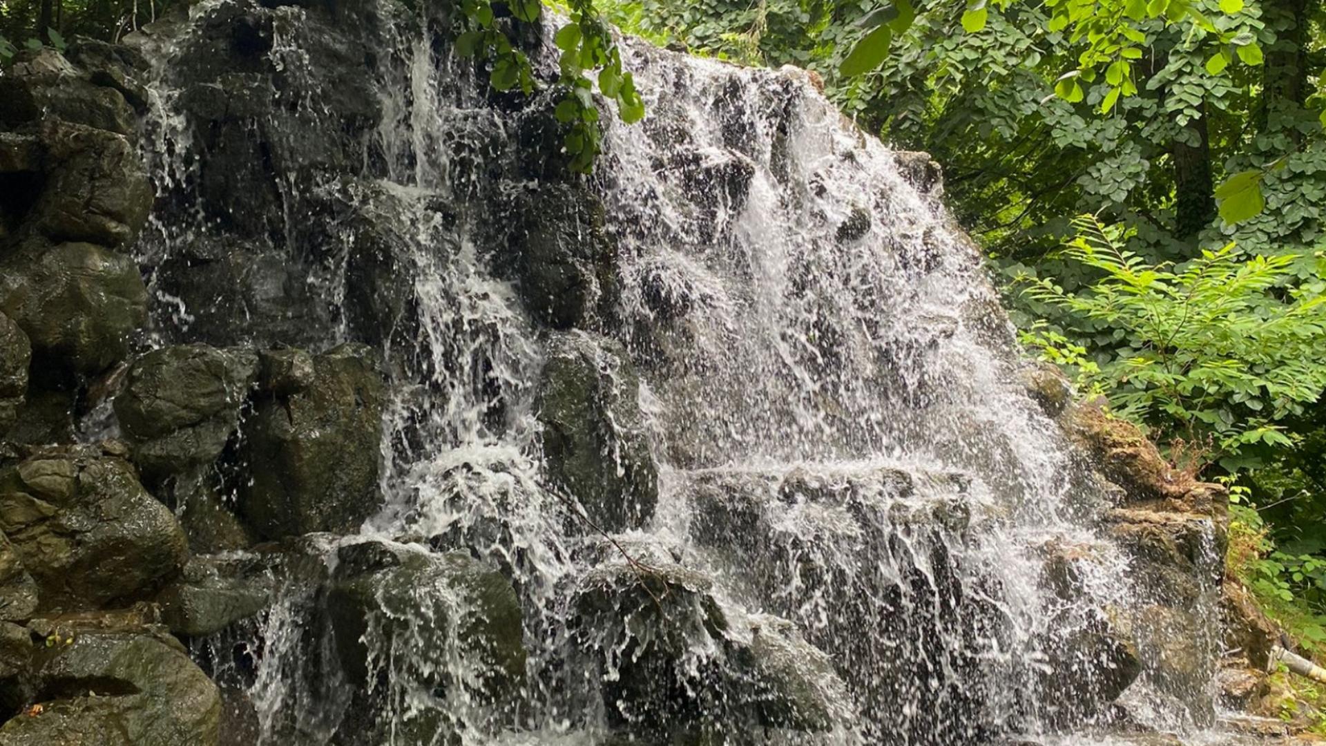 Yazıcı Orman Parkı