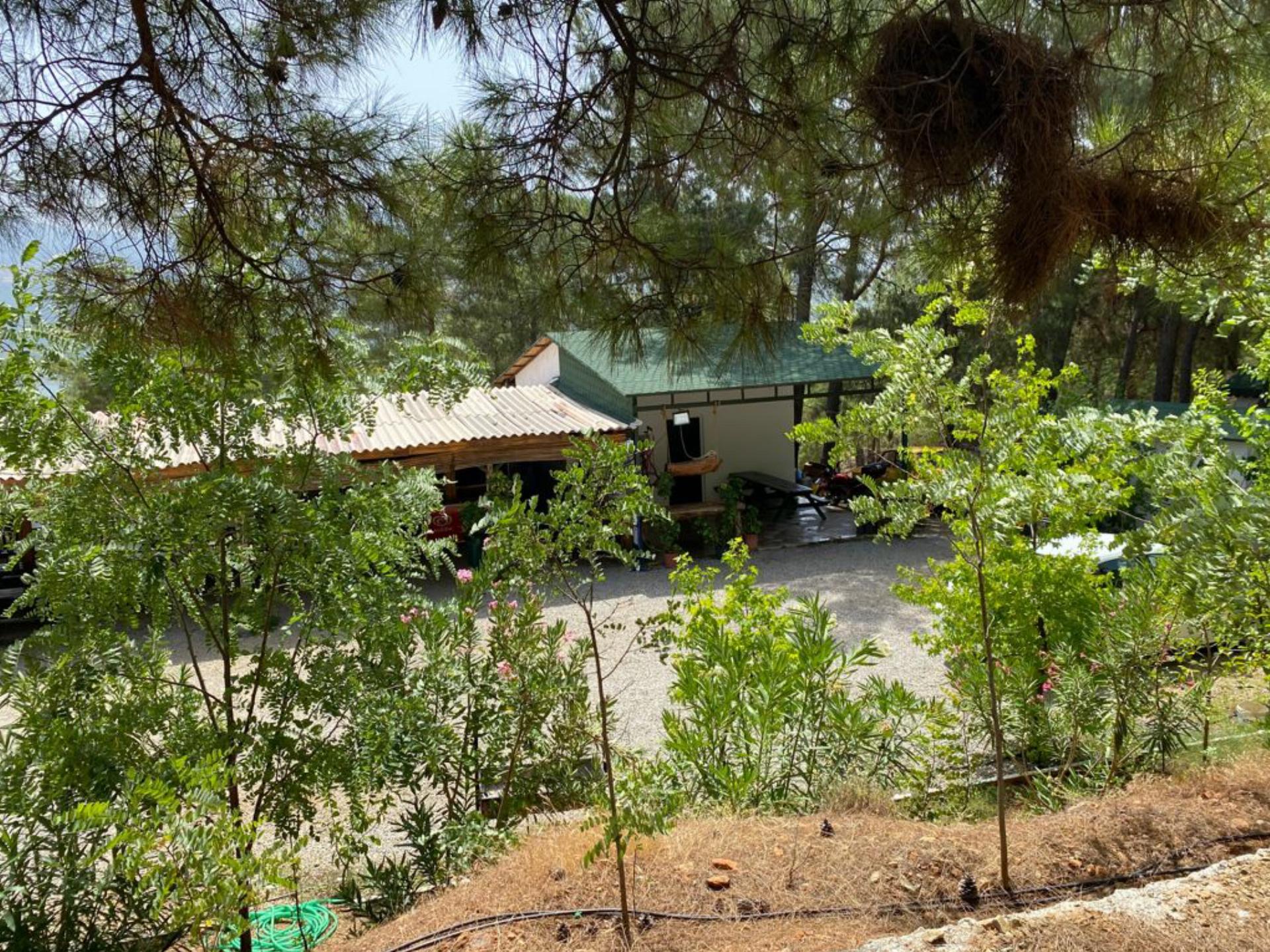 Değirmenbaşı Orman Parkı