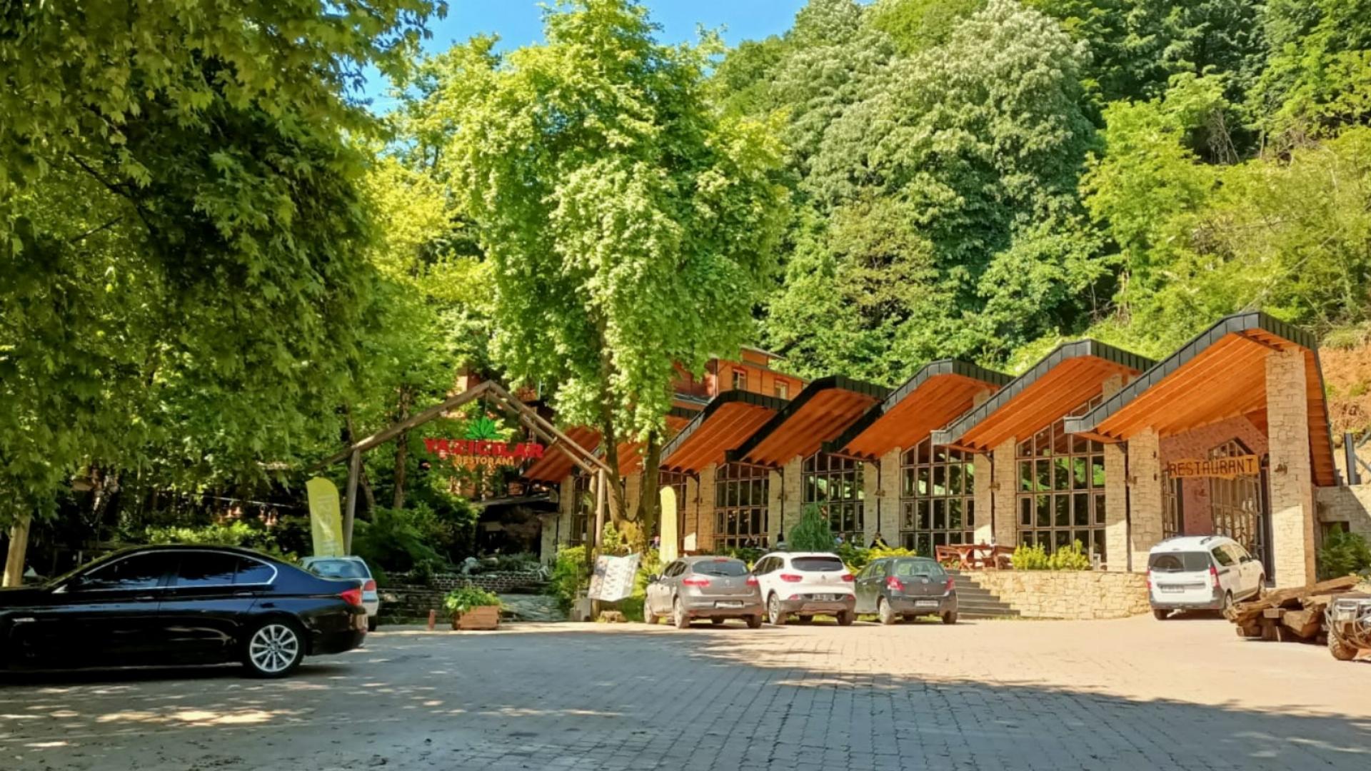 Yayla Orman Parkı 