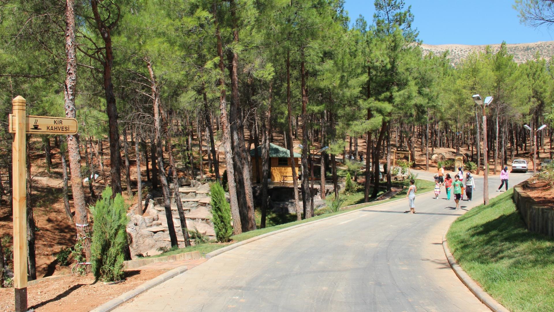 Arslanbey Orman Parkı