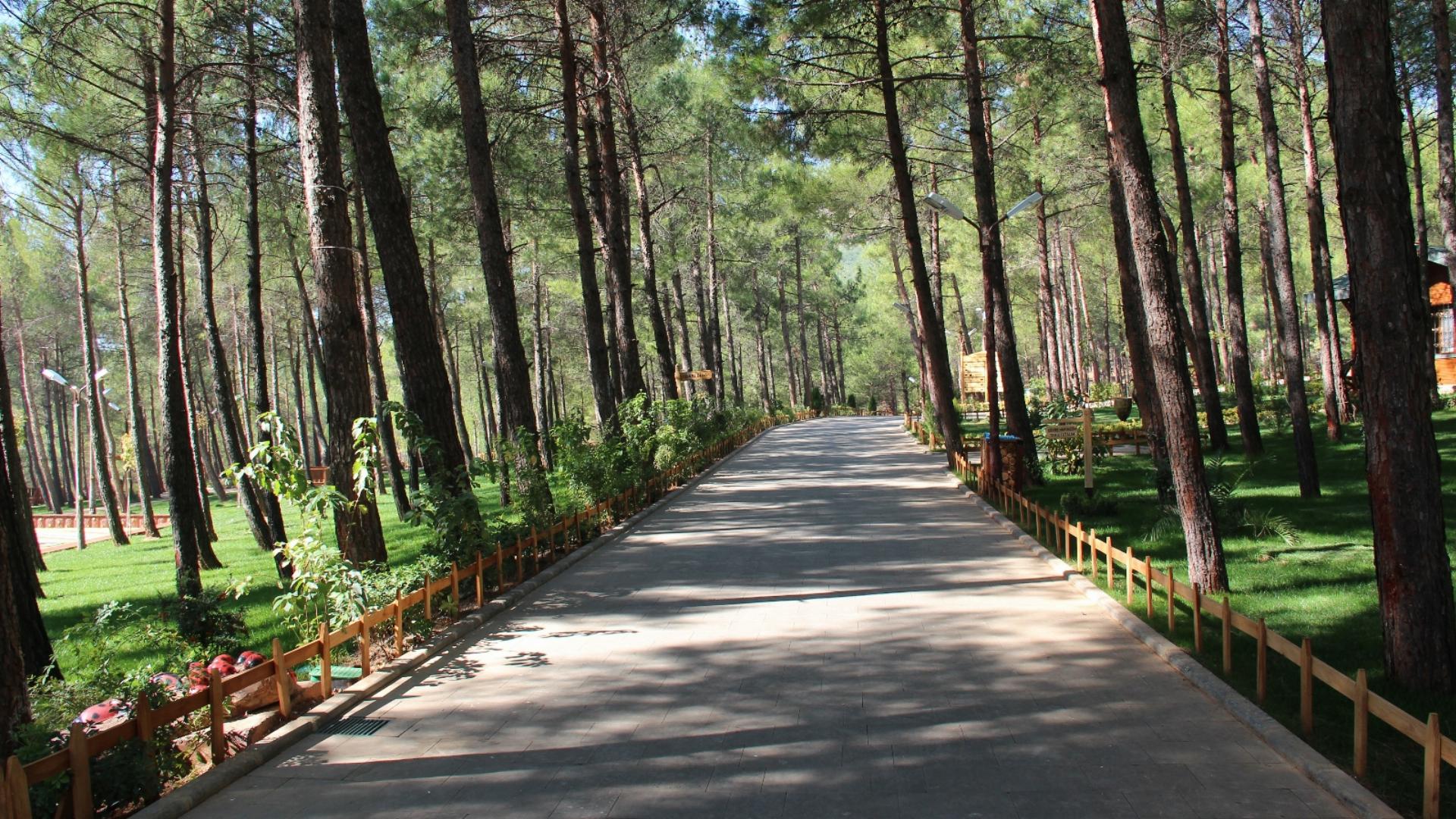 Arslanbey Orman Parkı