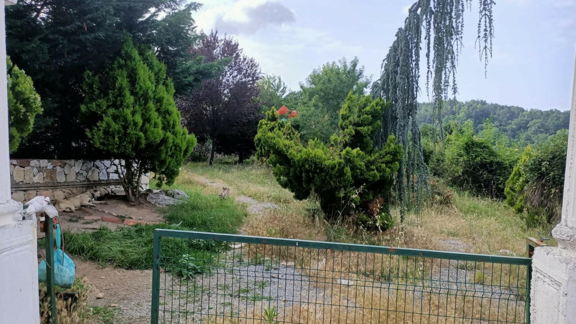Kaptan Orman Parkı