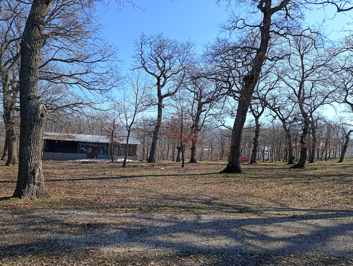Yeşilbaş Orman Parkı