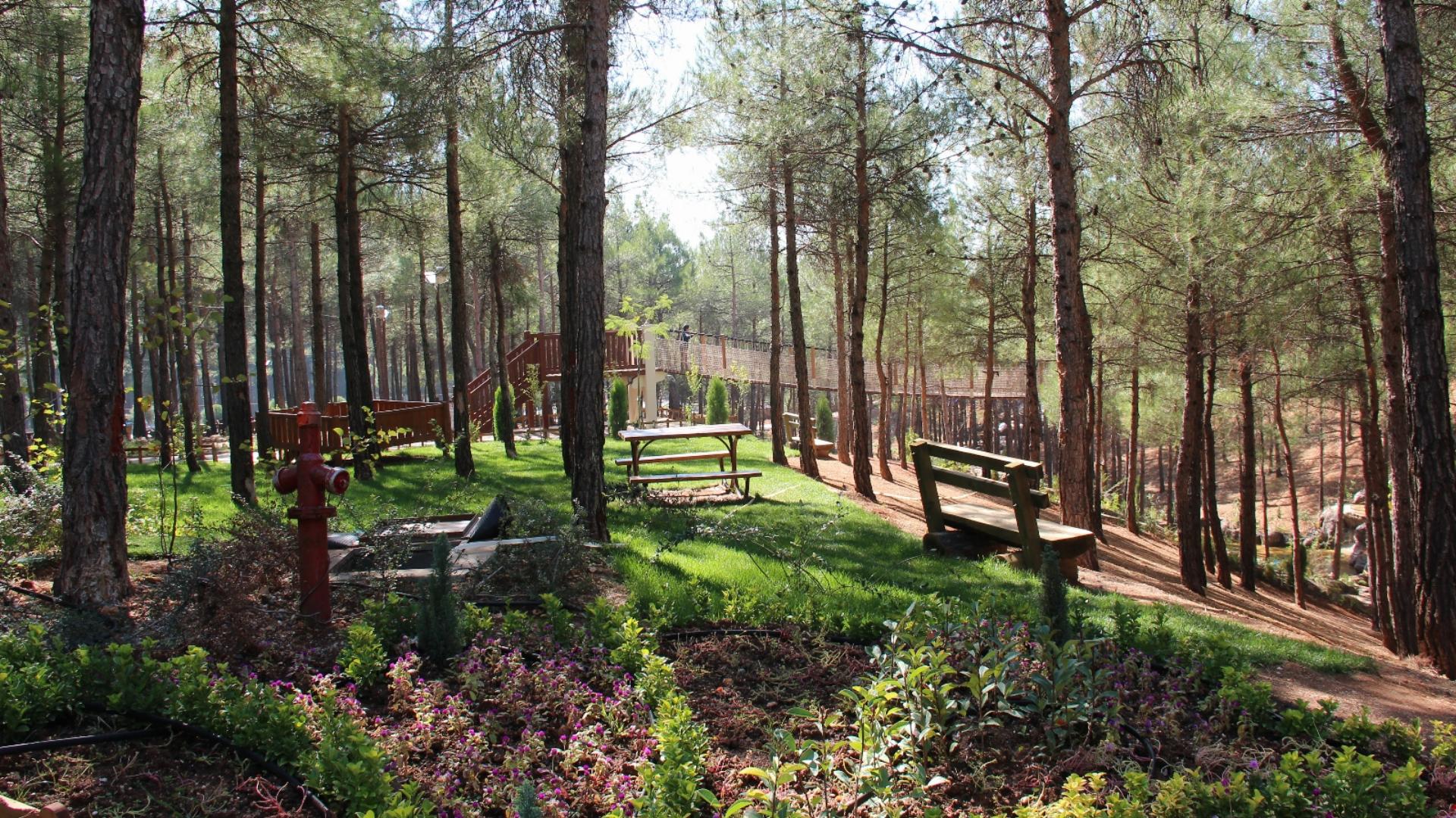 Arslanbey Orman Parkı