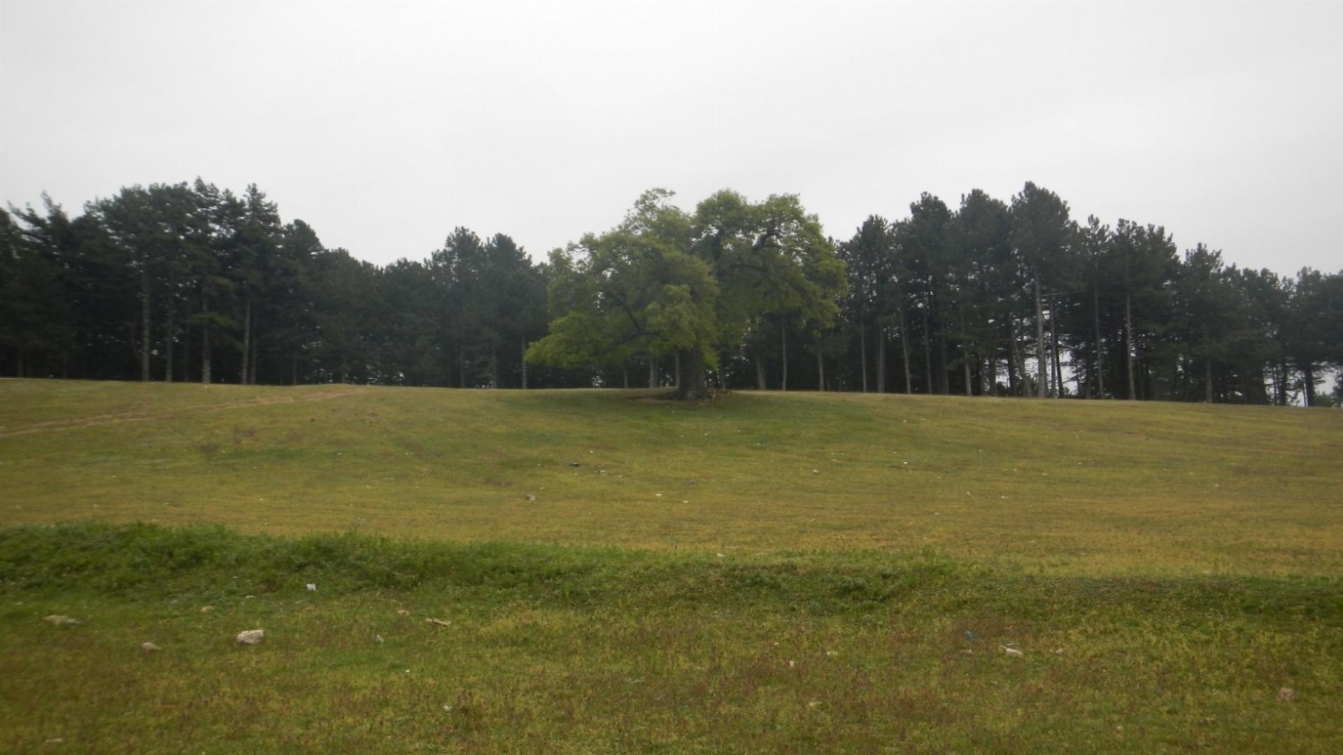 Bağlı Orman Parkı