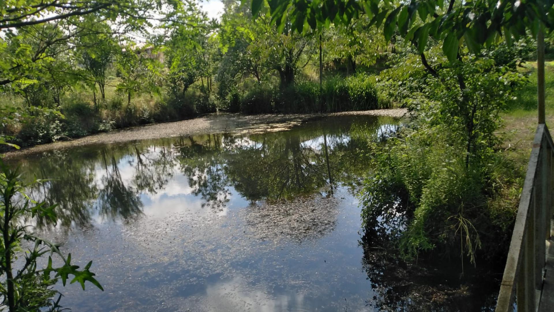 Pınar Orman Parkı