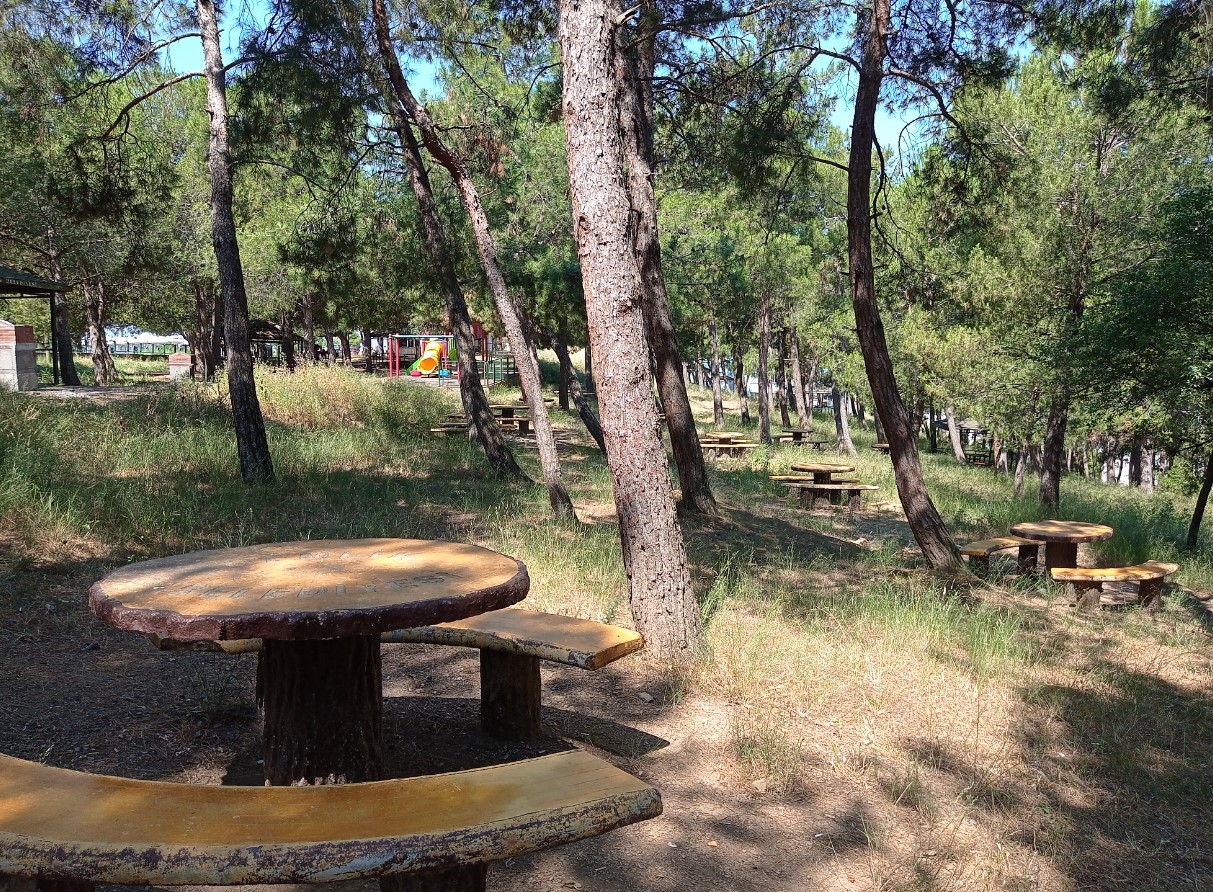Musakayası Orman Parkı