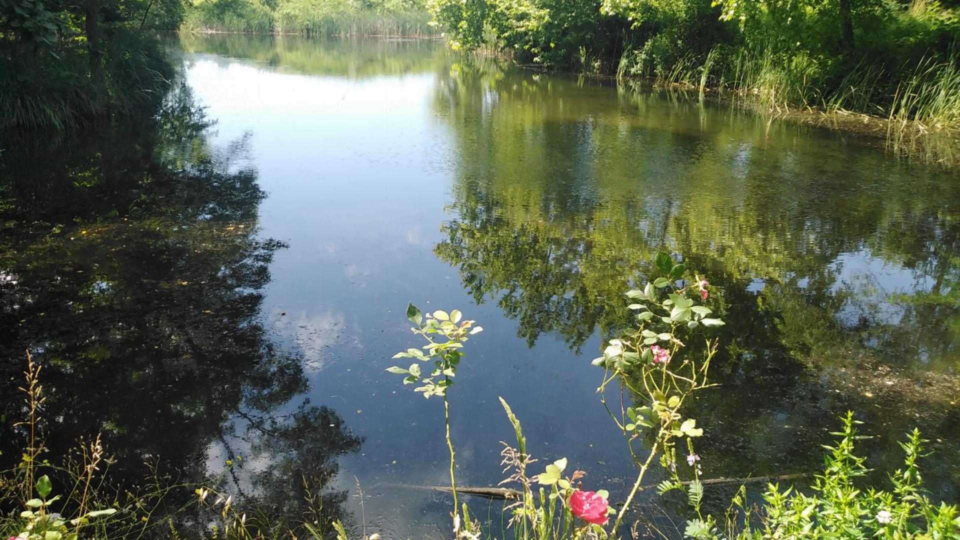 Pınar Orman Parkı