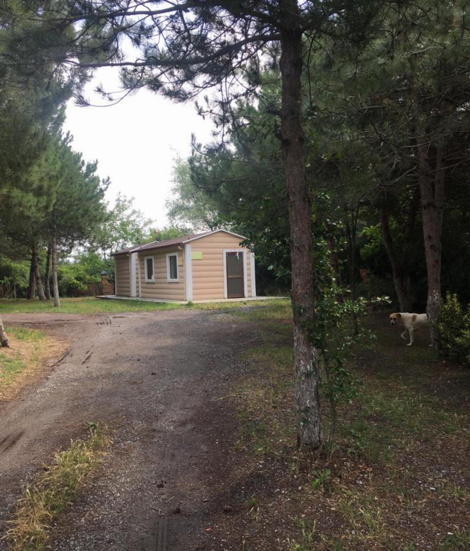Arapkuyusu Orman Parkı