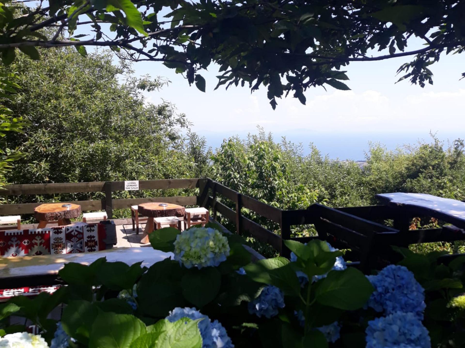 Bakacak Orman Parkı