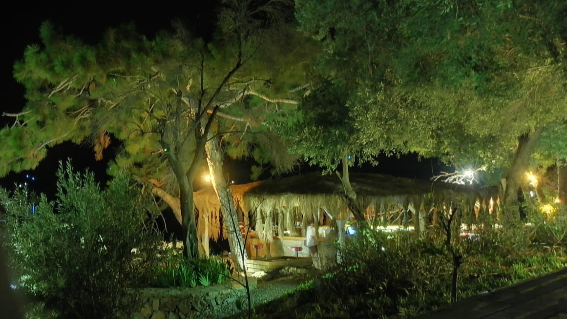 Akbük Koyu Orman Parkı
