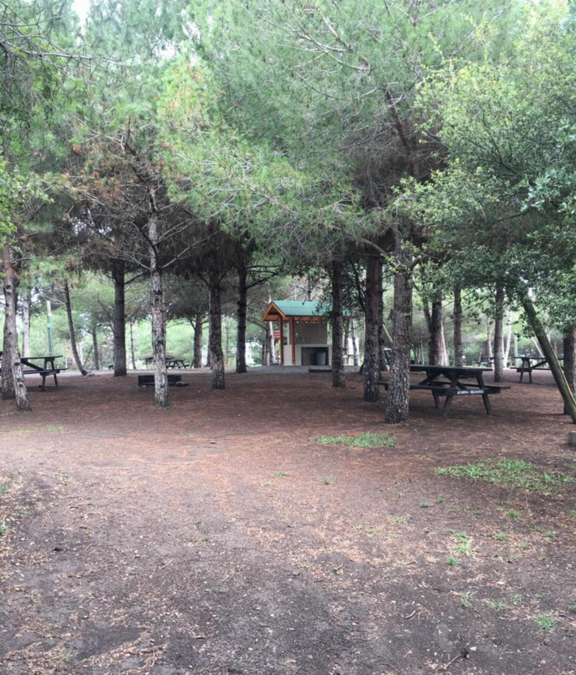 Arapkuyusu Orman Parkı