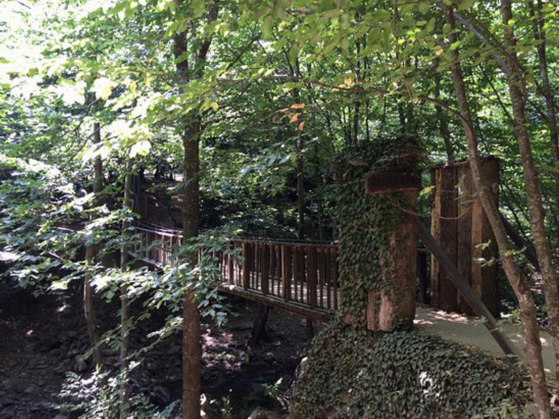 Yalova Orman Parkı