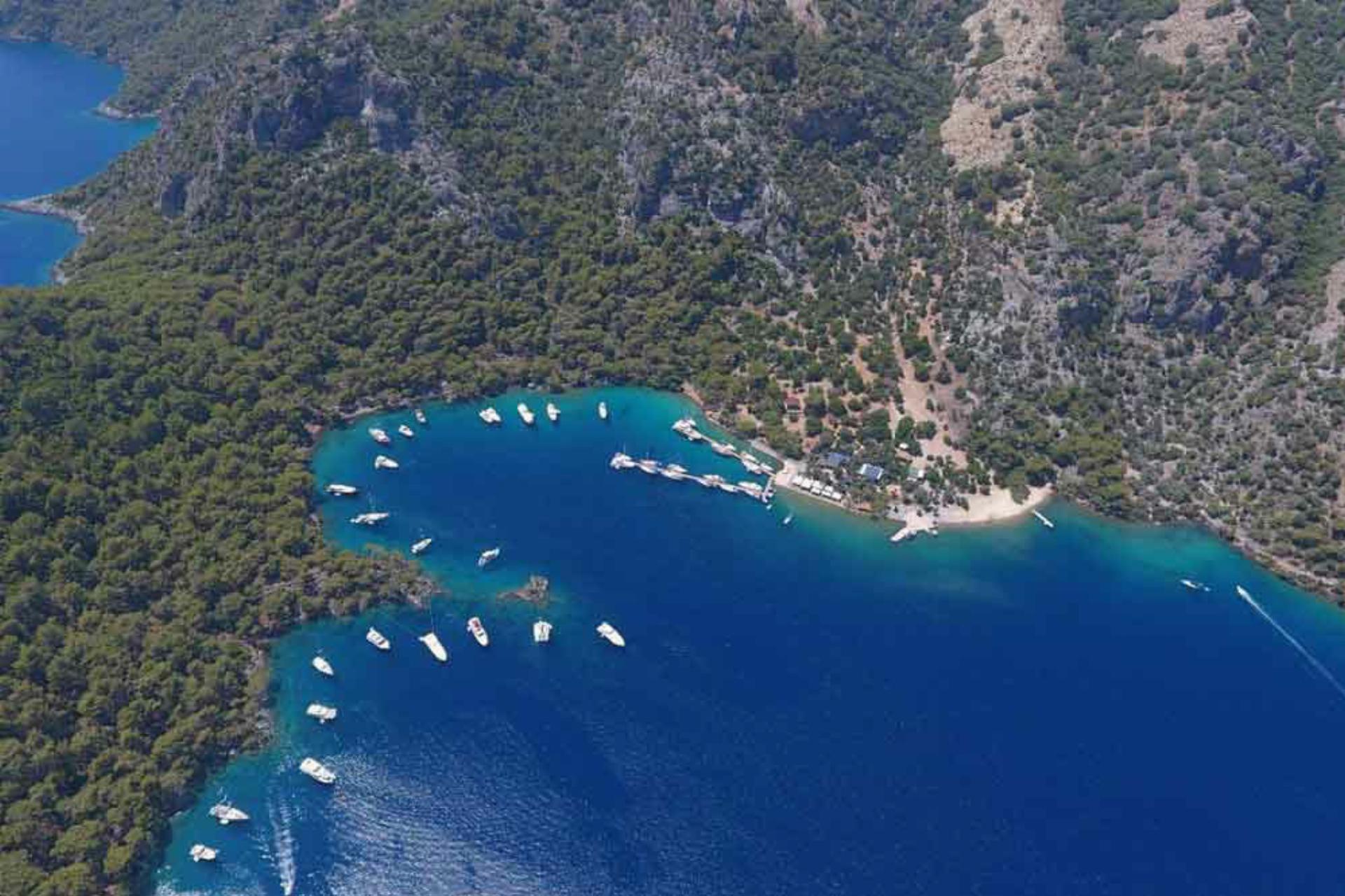Akbük Koyu Orman Parkı