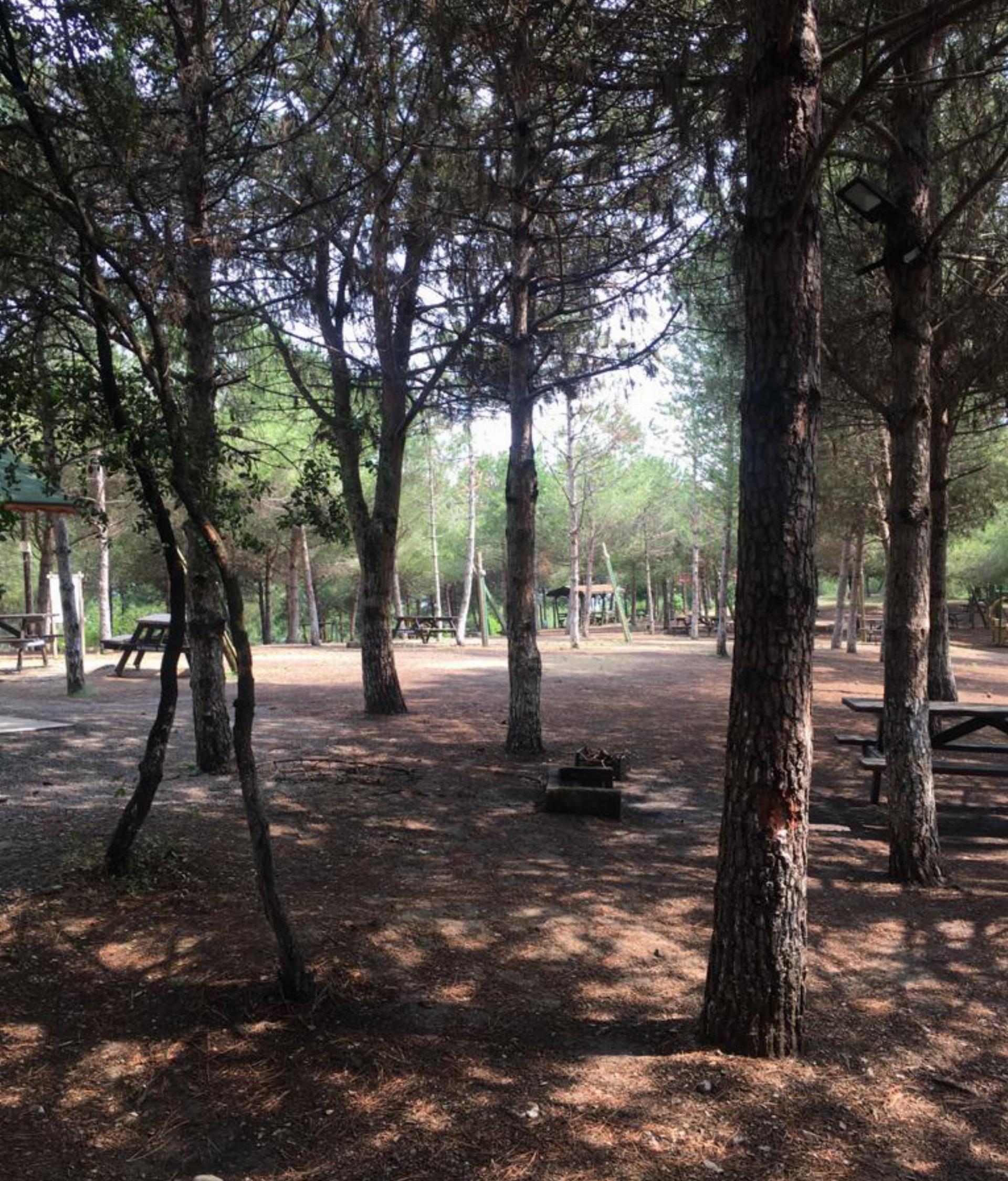 Arapkuyusu Orman Parkı