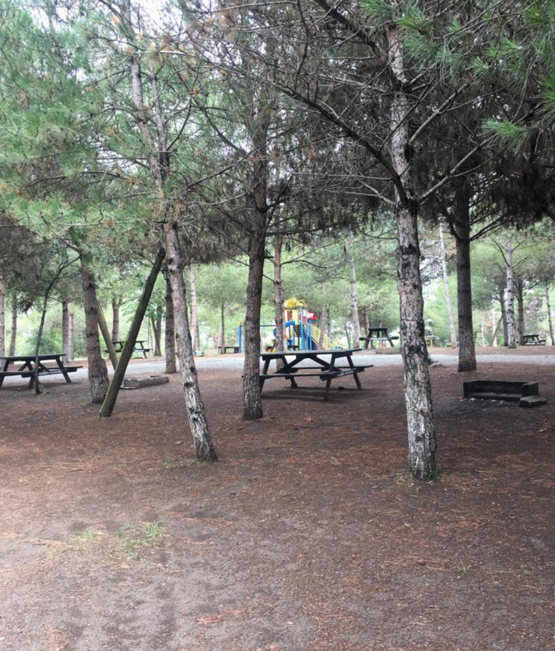 Arapkuyusu Orman Parkı