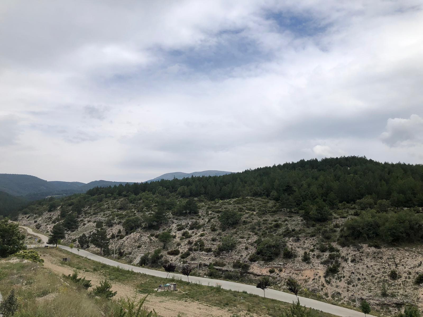 Yellice Dağı Orman Parkı