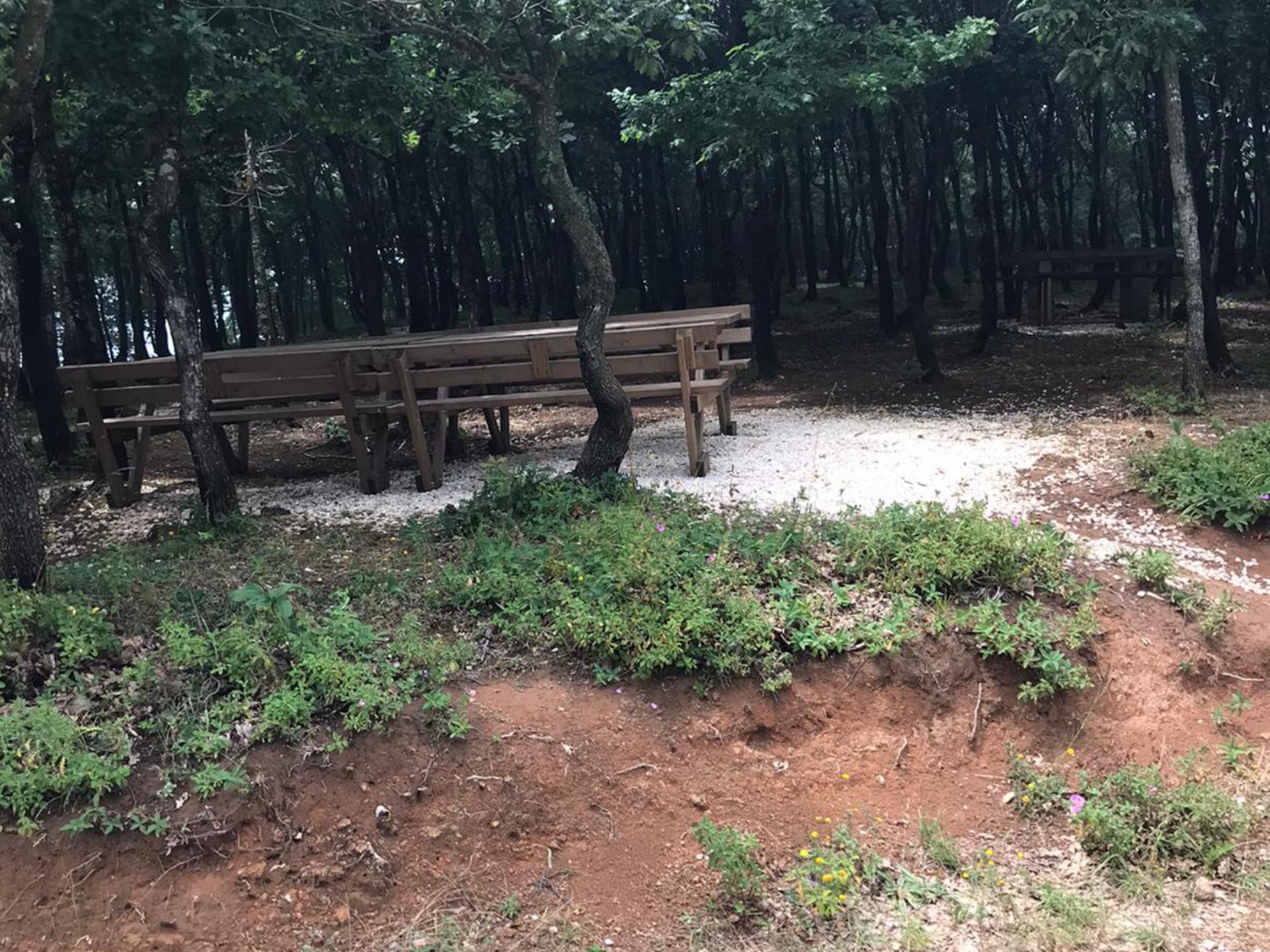 Höyüktepe Orman Parkı