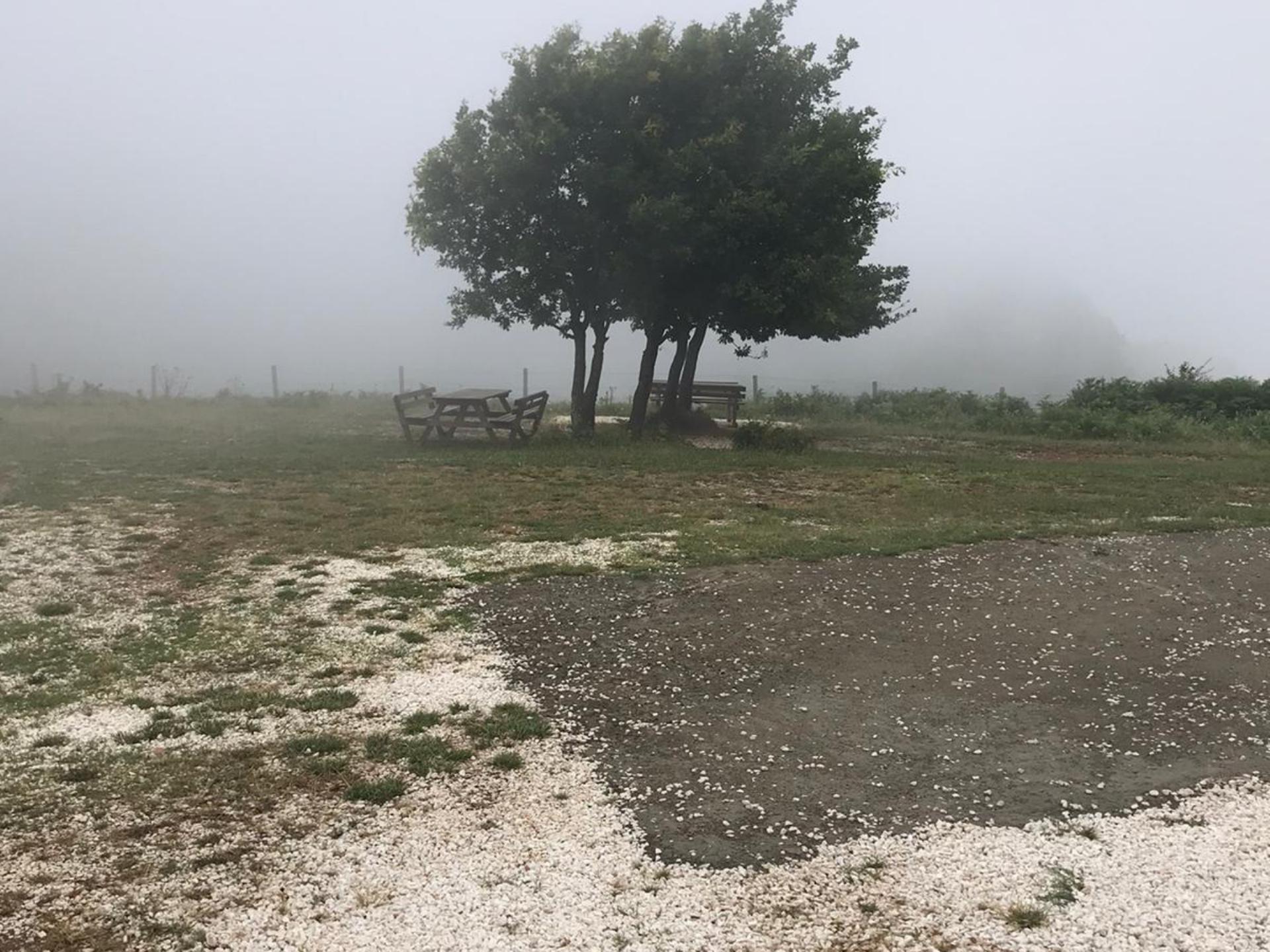 Höyüktepe Orman Parkı