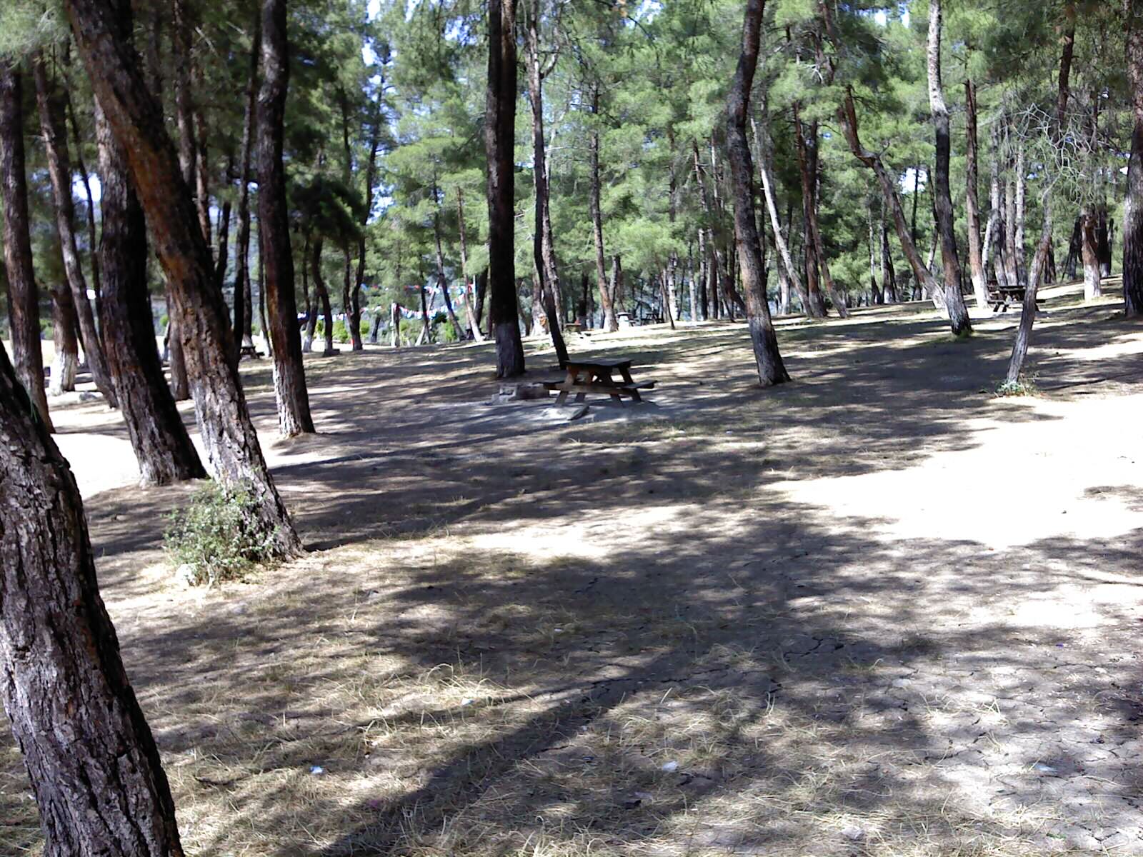 Karagöz Orman Parkı