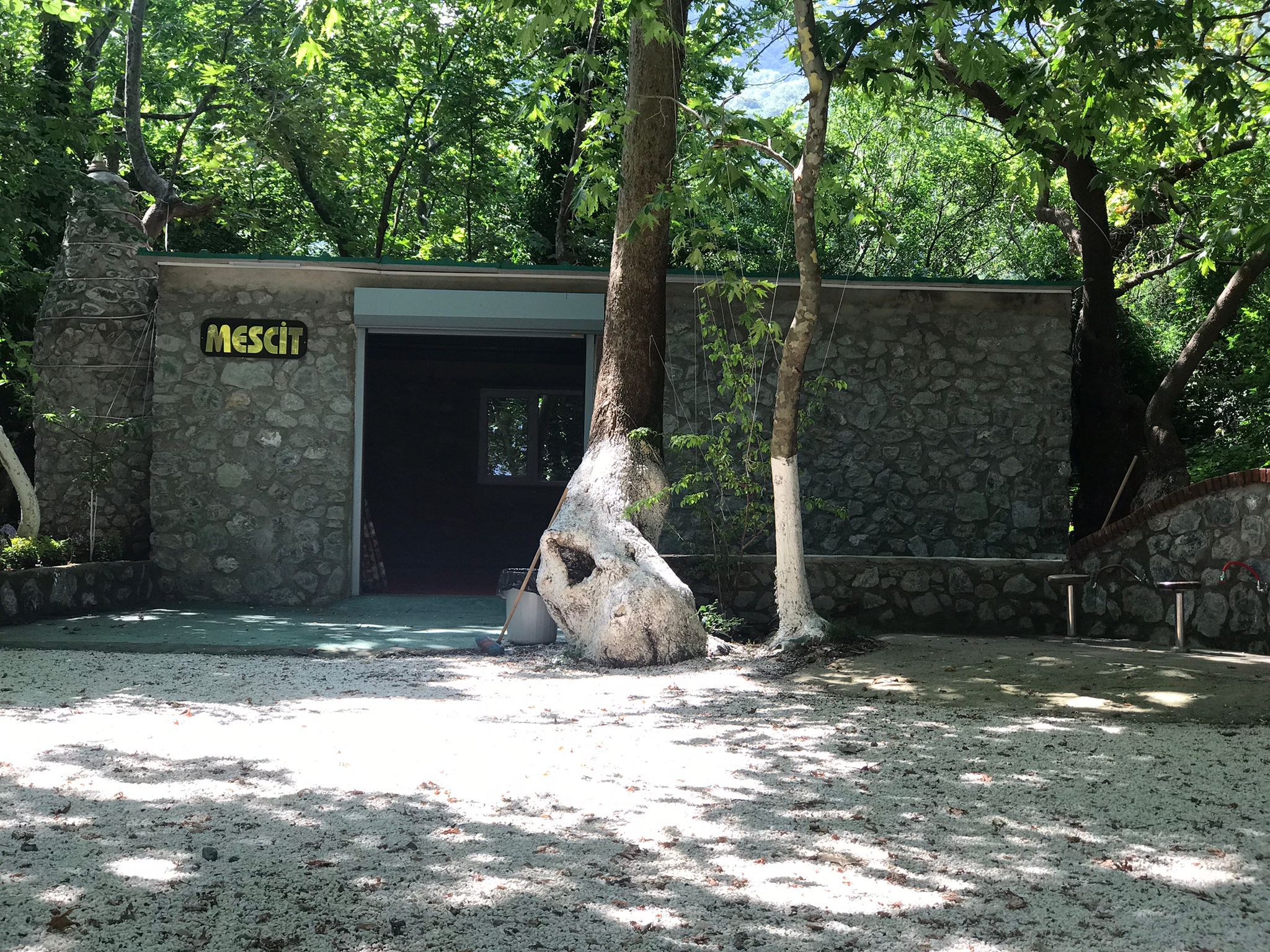 Çalıderesi Orman Parkı