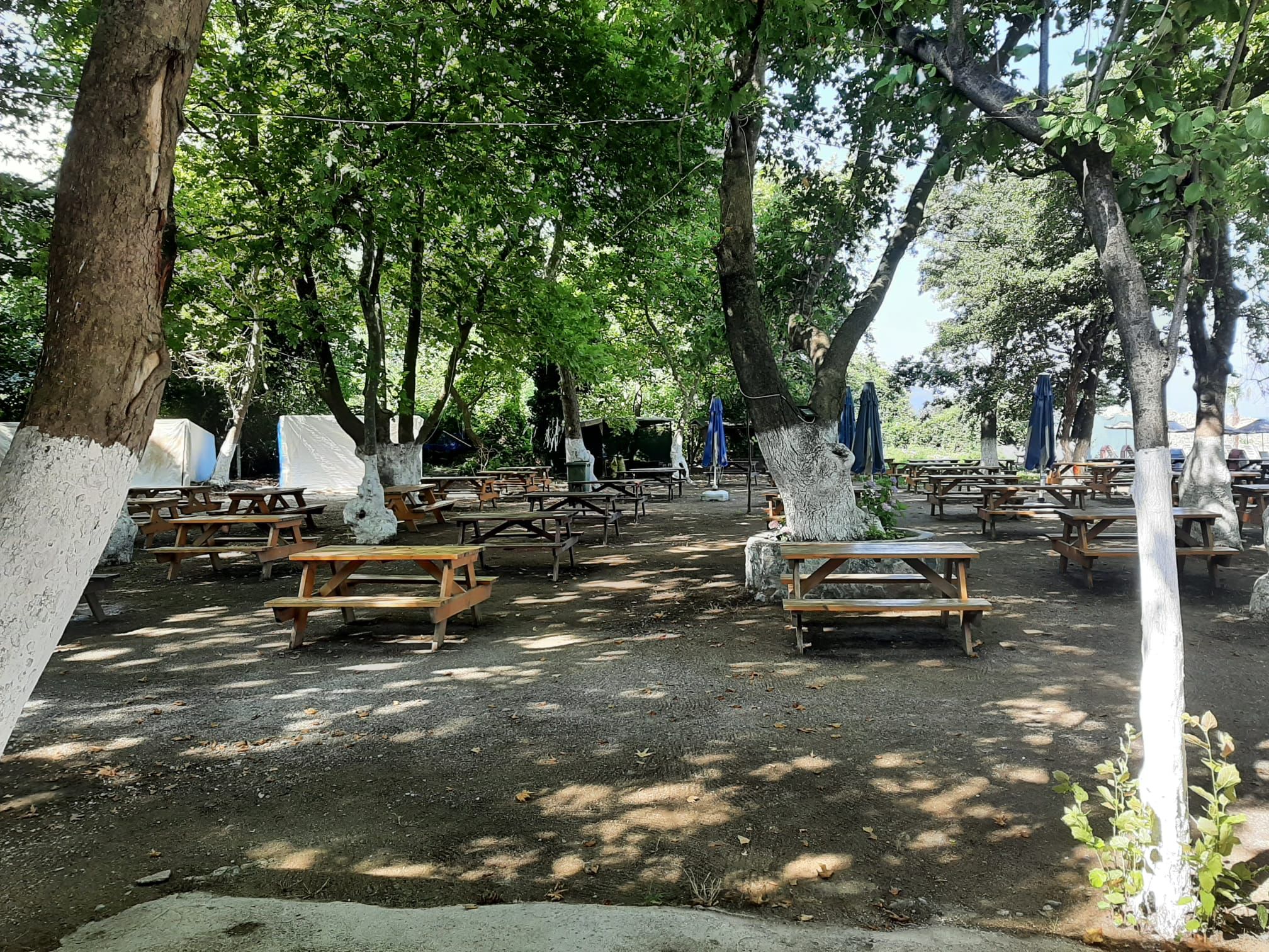 Çalıderesi Orman Parkı