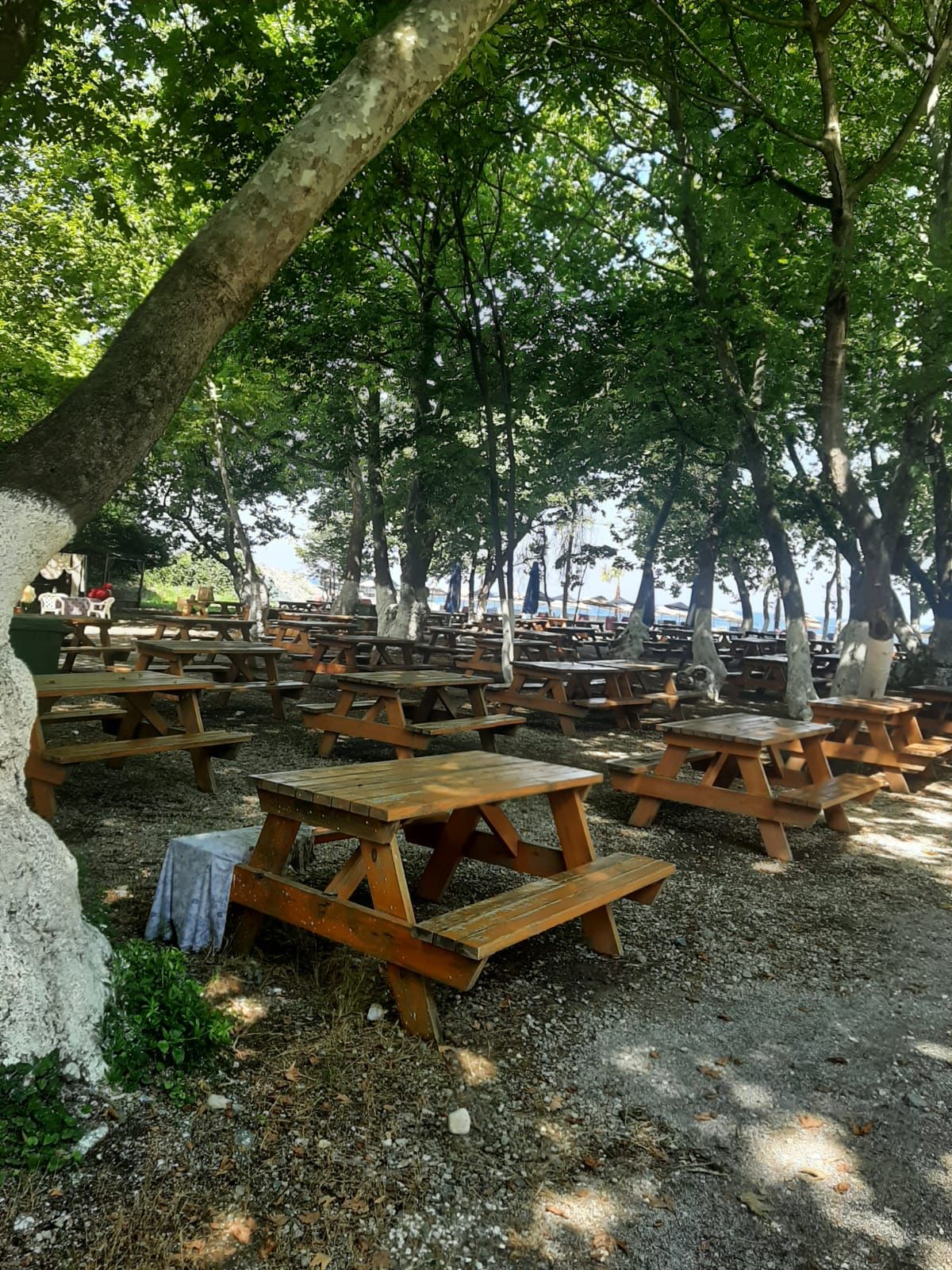 Çalıderesi Orman Parkı