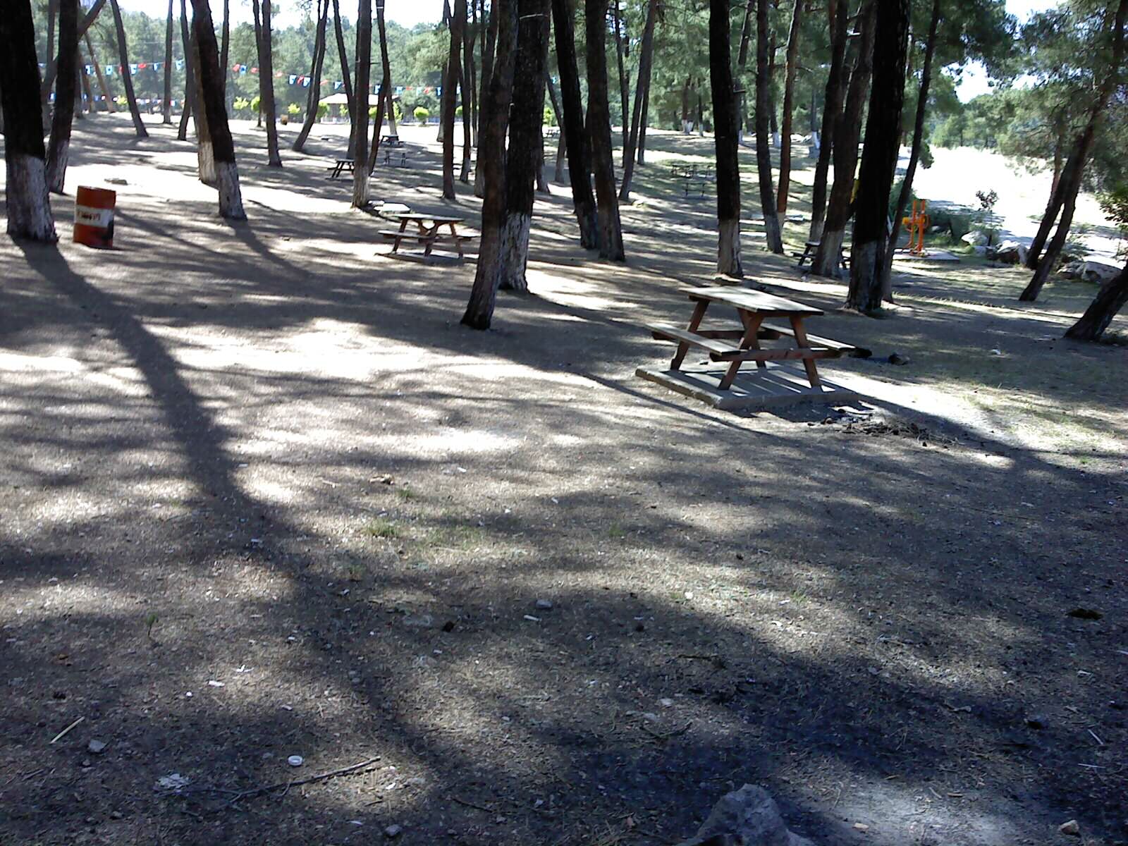 Karagöz Orman Parkı
