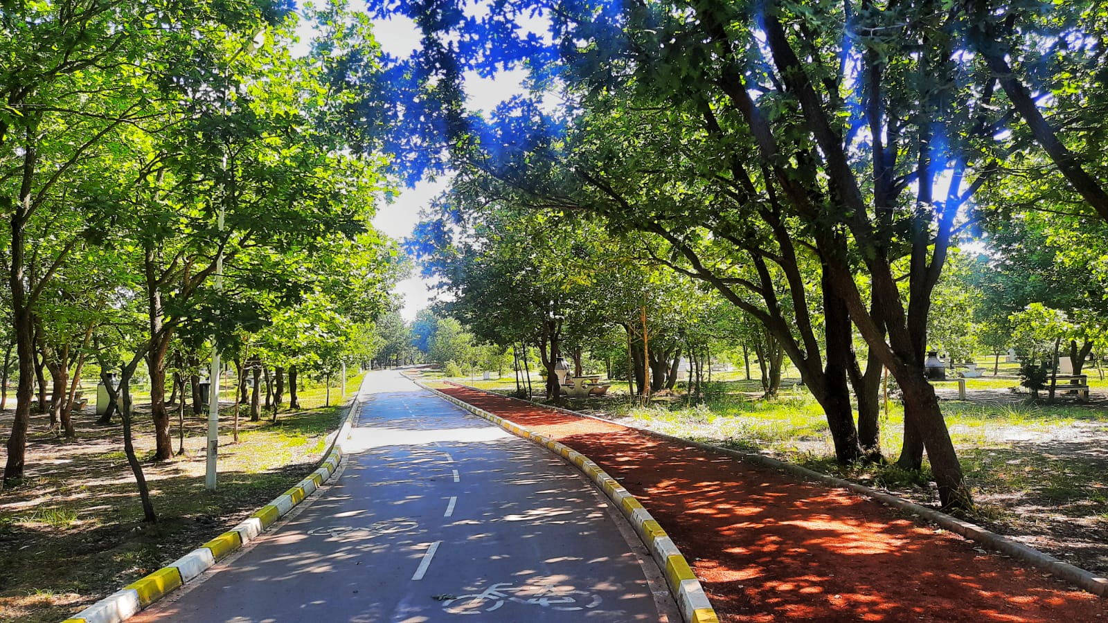 Kartaltepe Orman Parkı