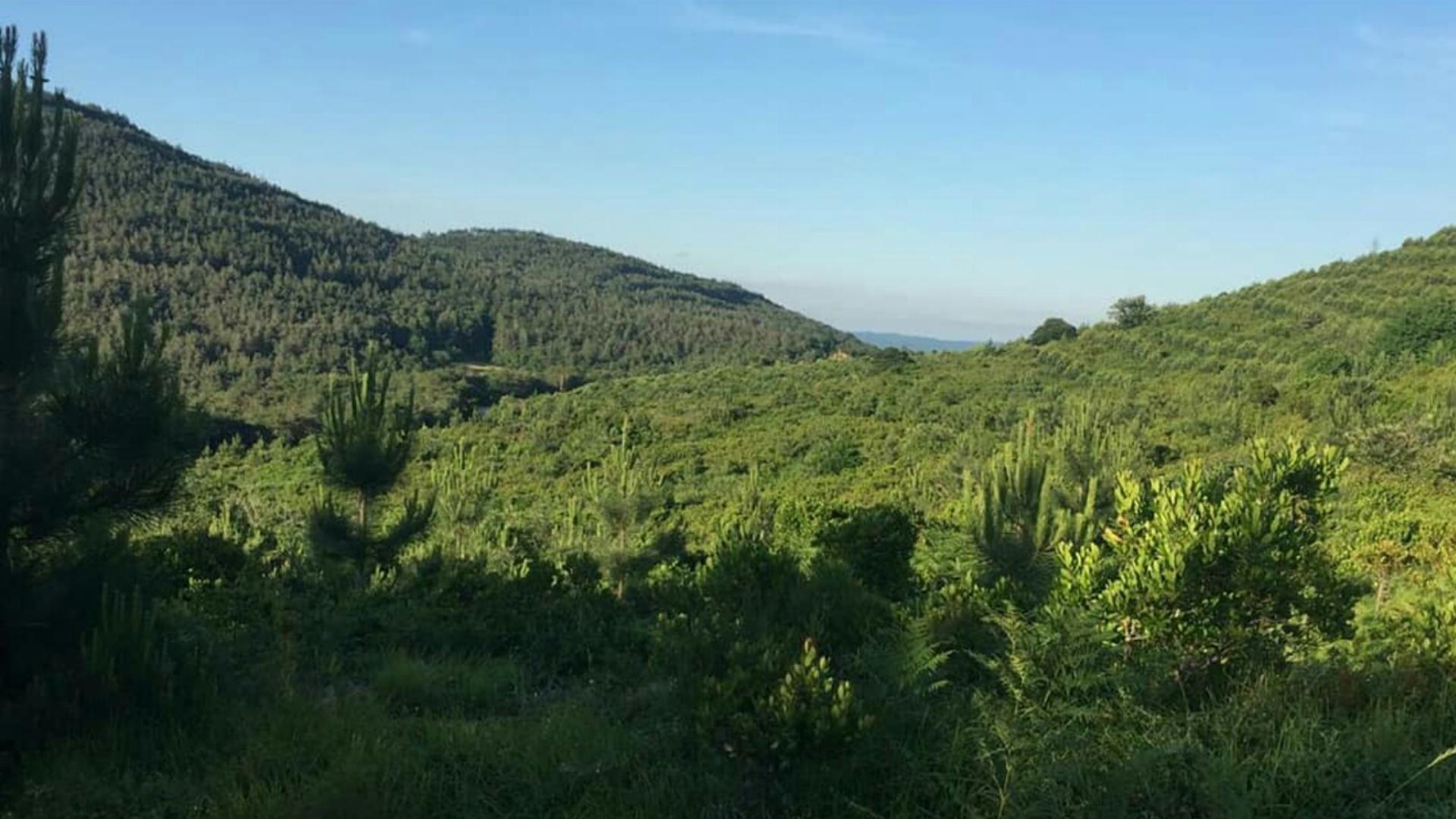 Paşaköy Orman Parkı 