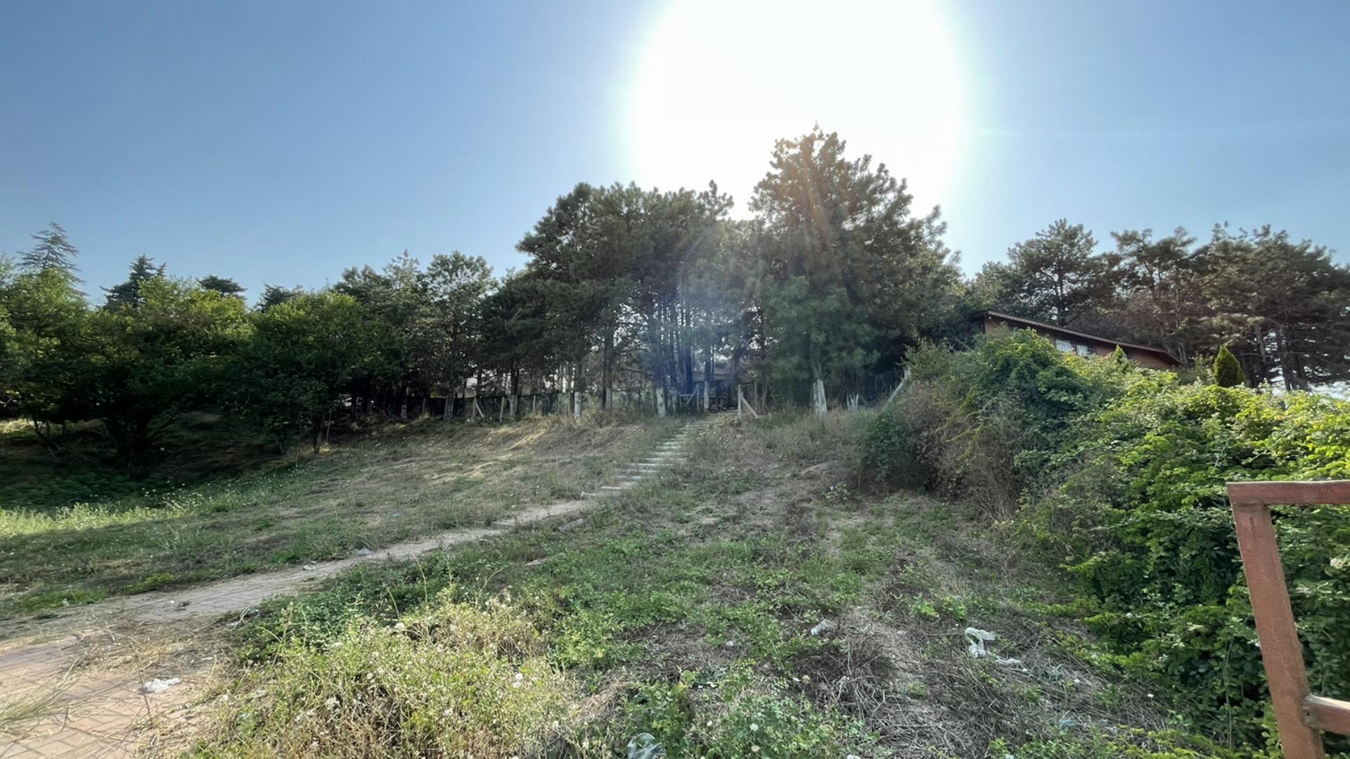 Erguvan Orman Parkı